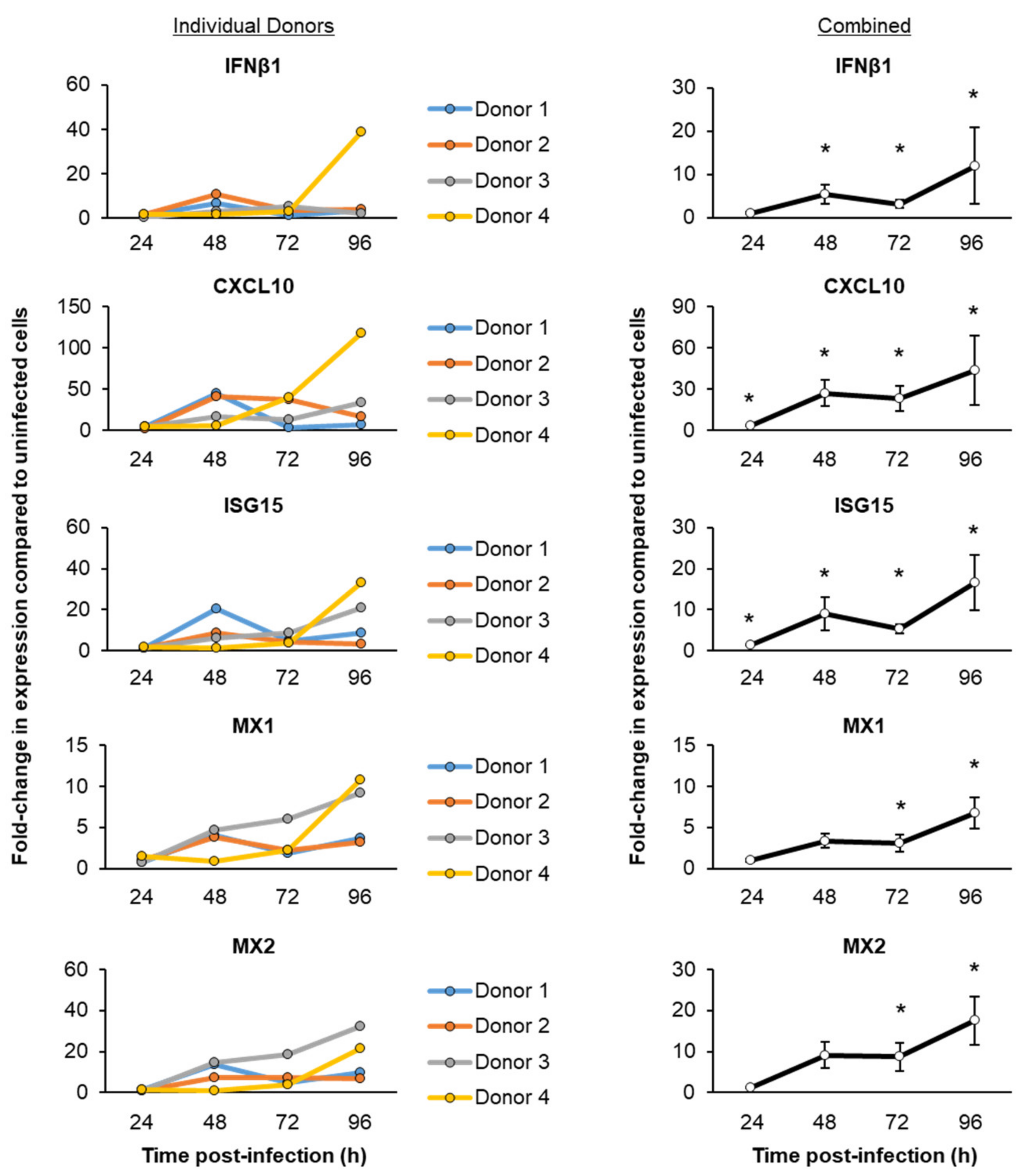 Viruses 13 01603 g003 550