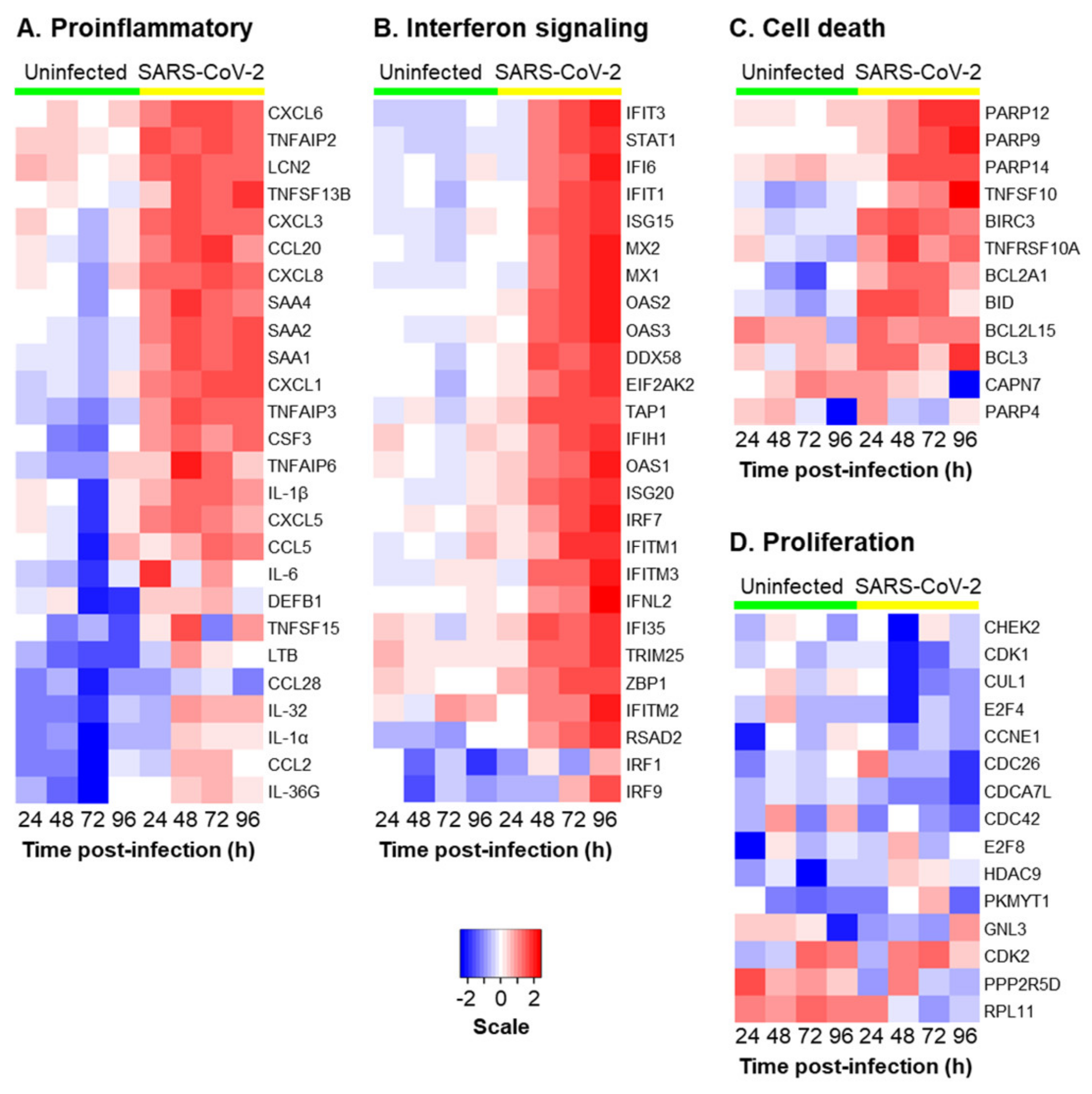 Viruses 13 01603 g005 550