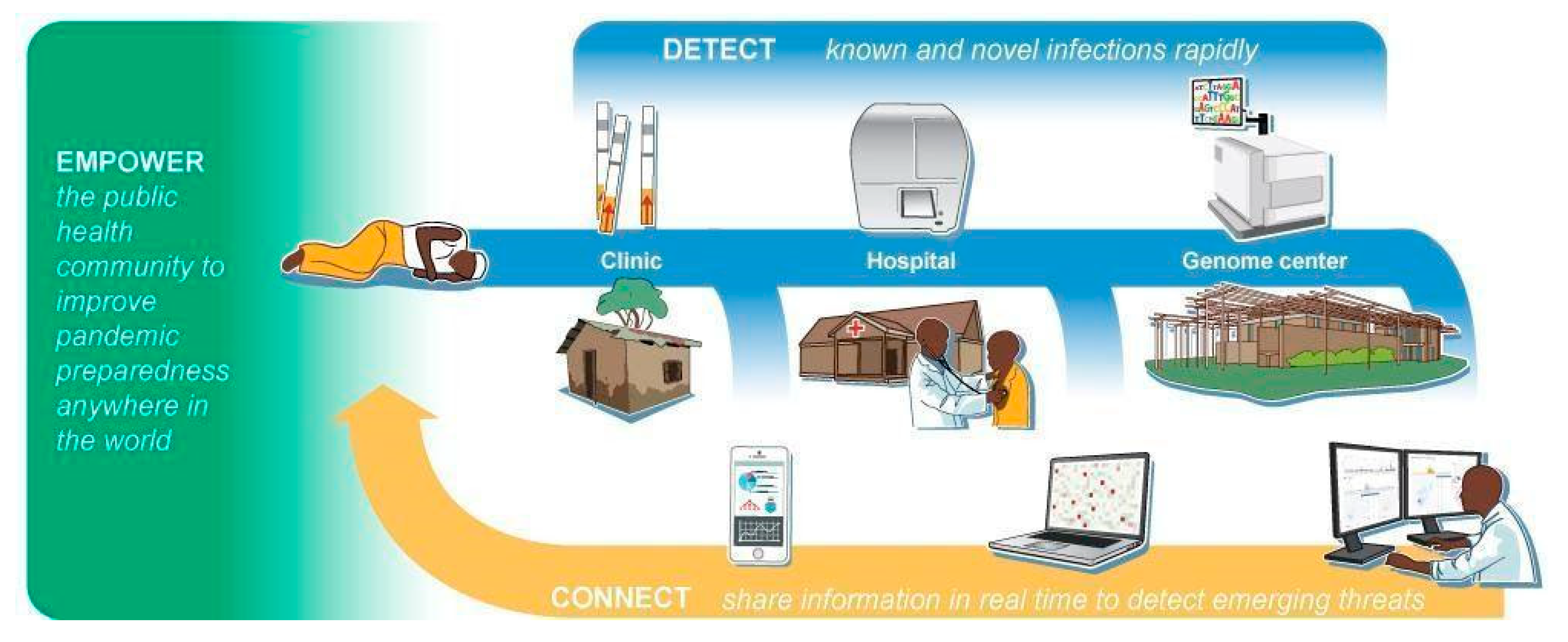 Viruses 13 01605 g001