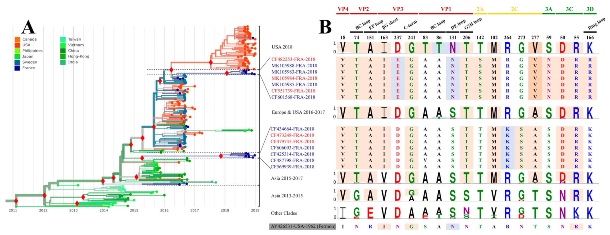 Viruses 13 01607 g003