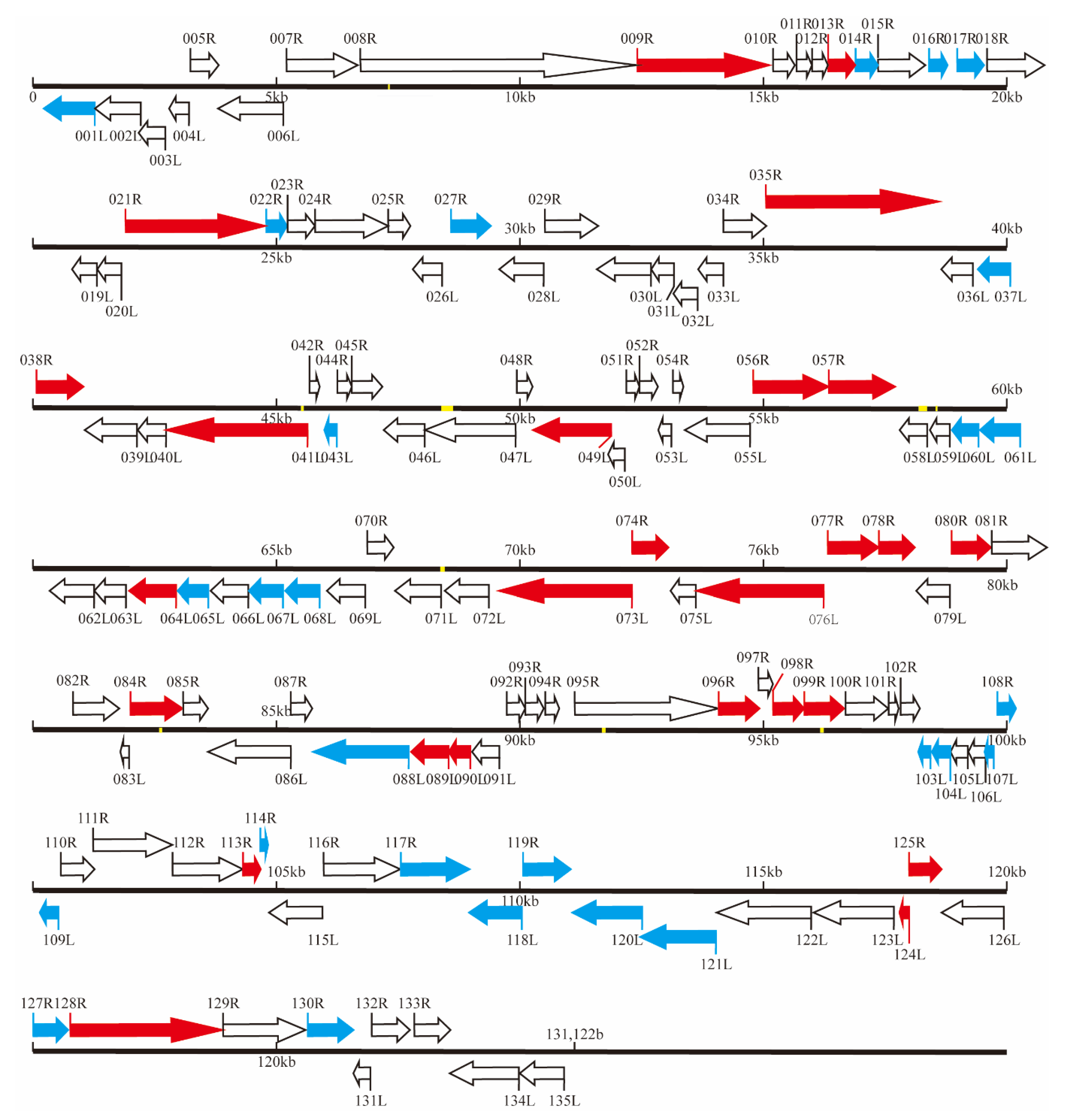 Viruses 13 01617 g004 550