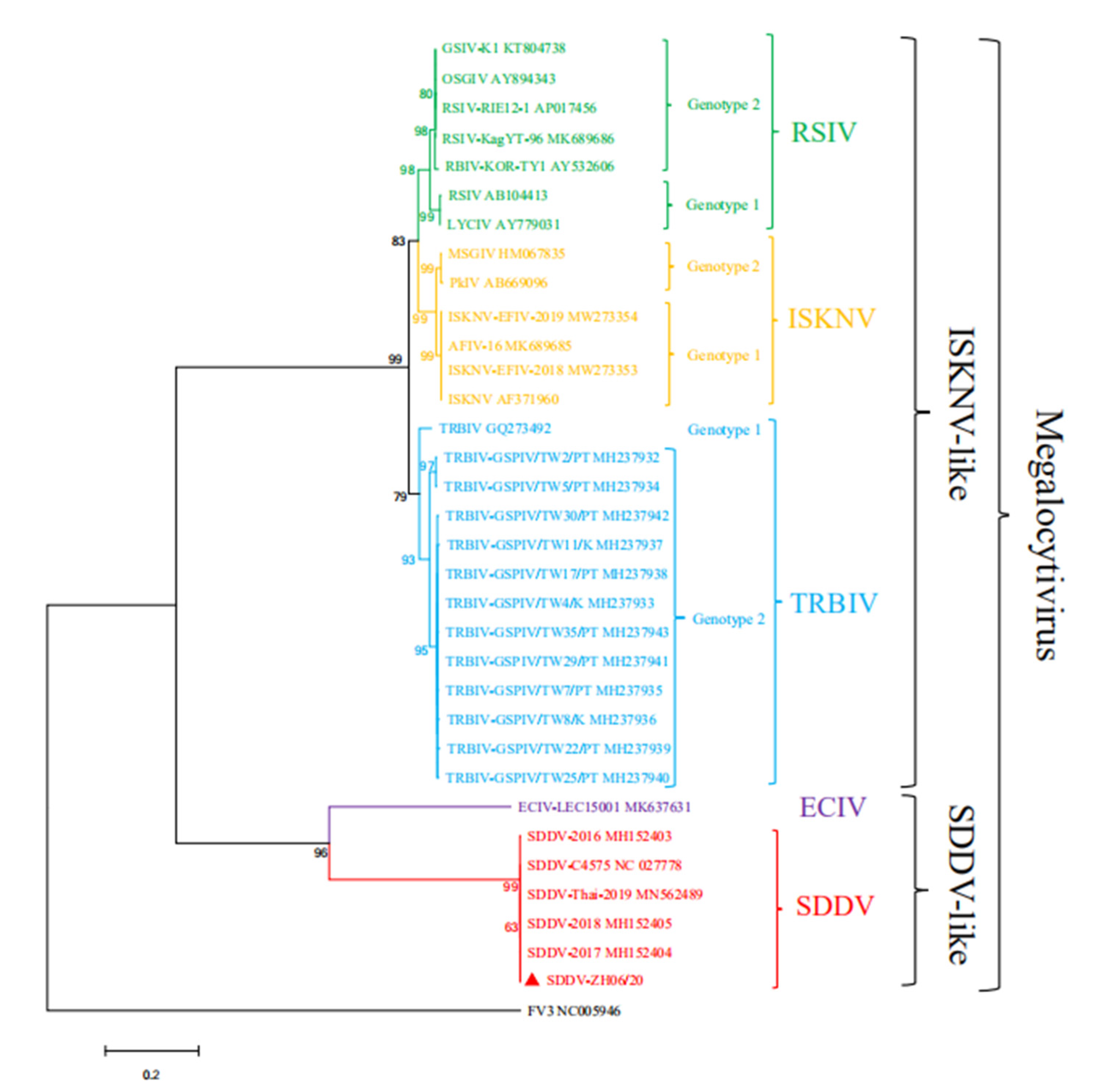 Viruses 13 01617 g005 550