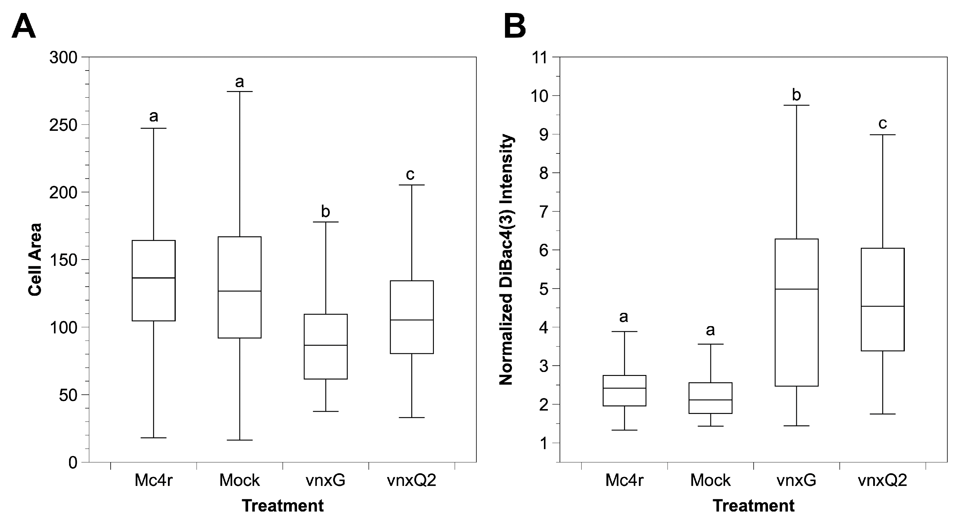 Viruses 13 01621 g005 550