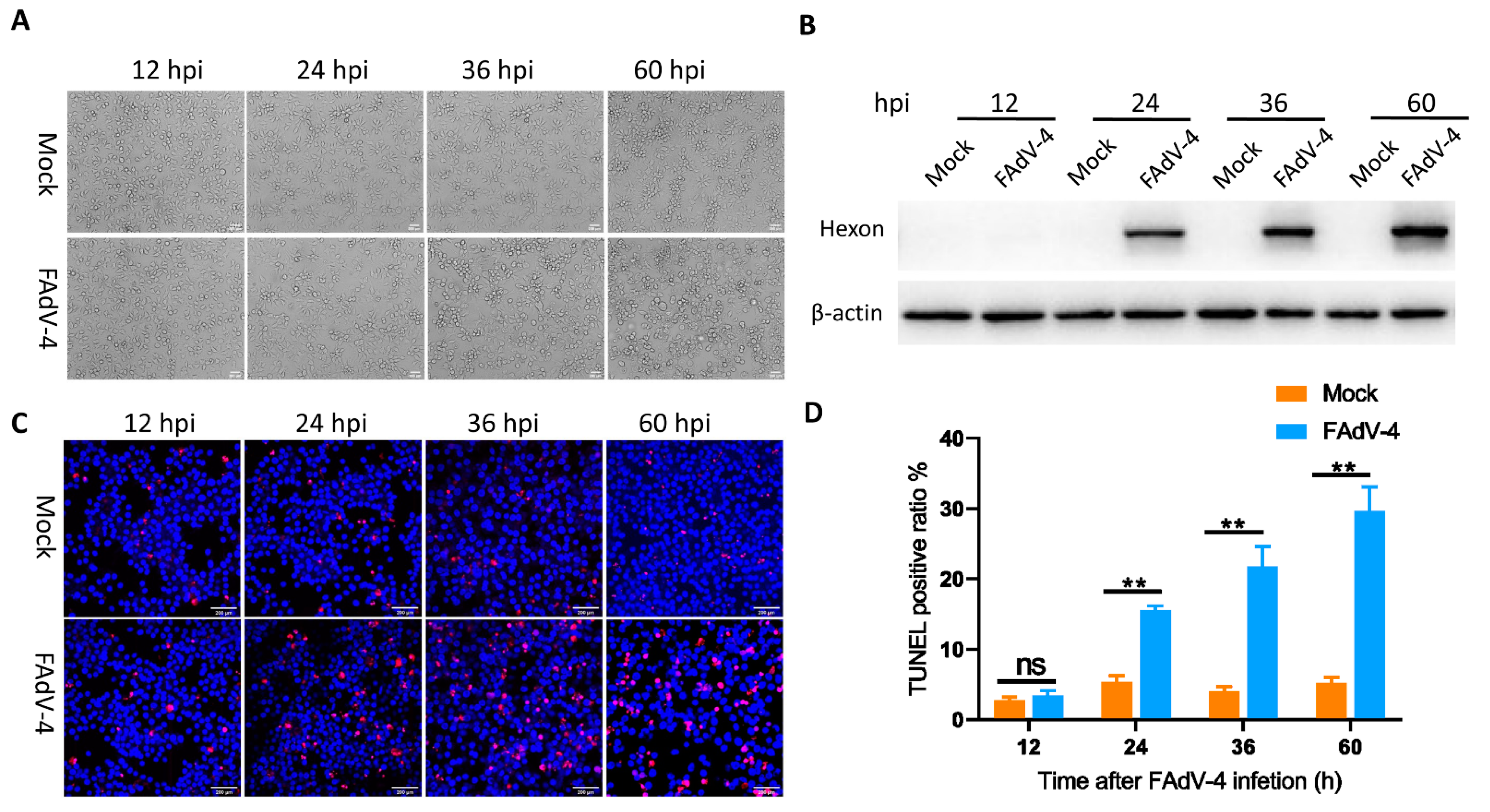 Viruses 13 01623 g001 550