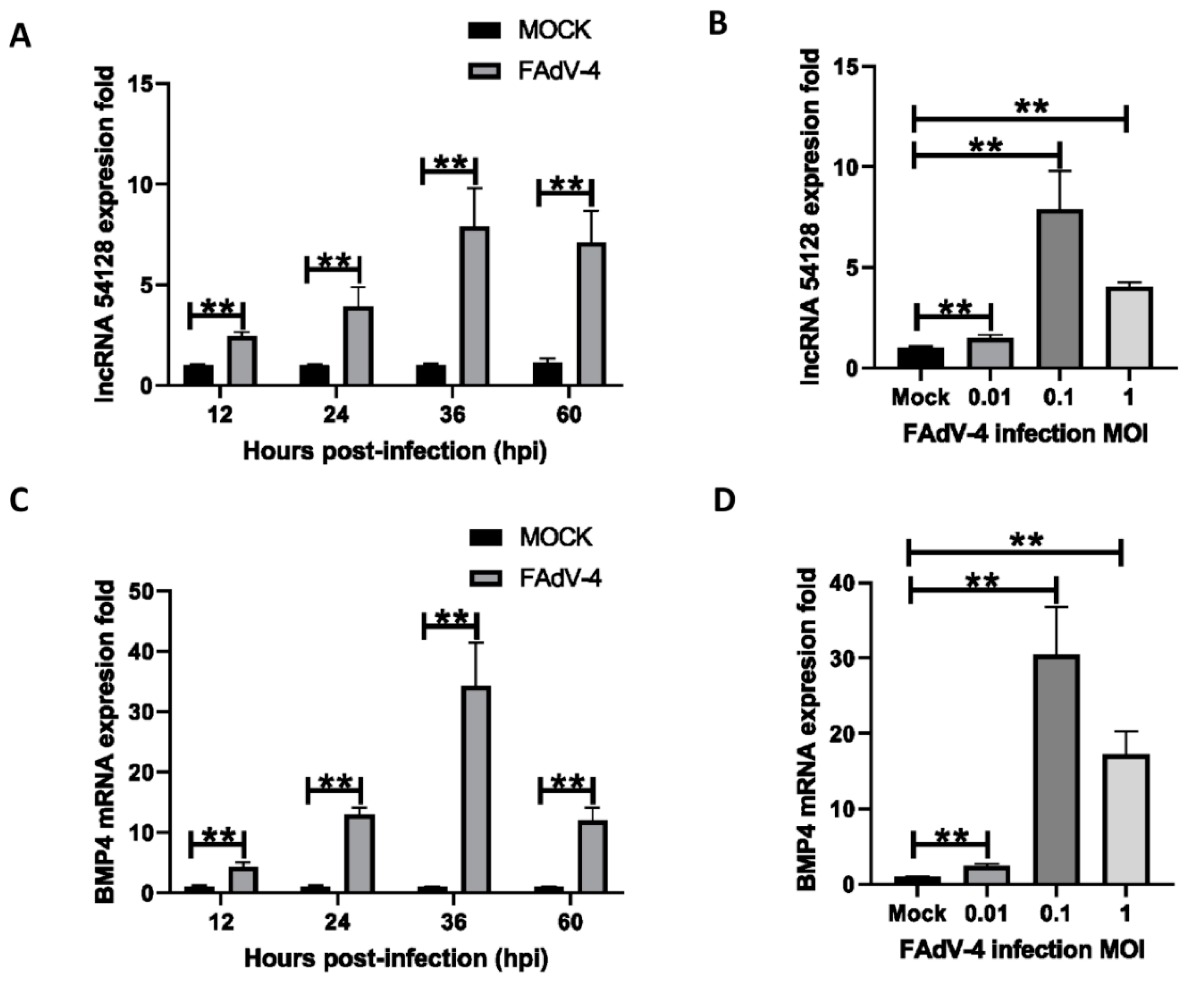 Viruses 13 01623 g005 550
