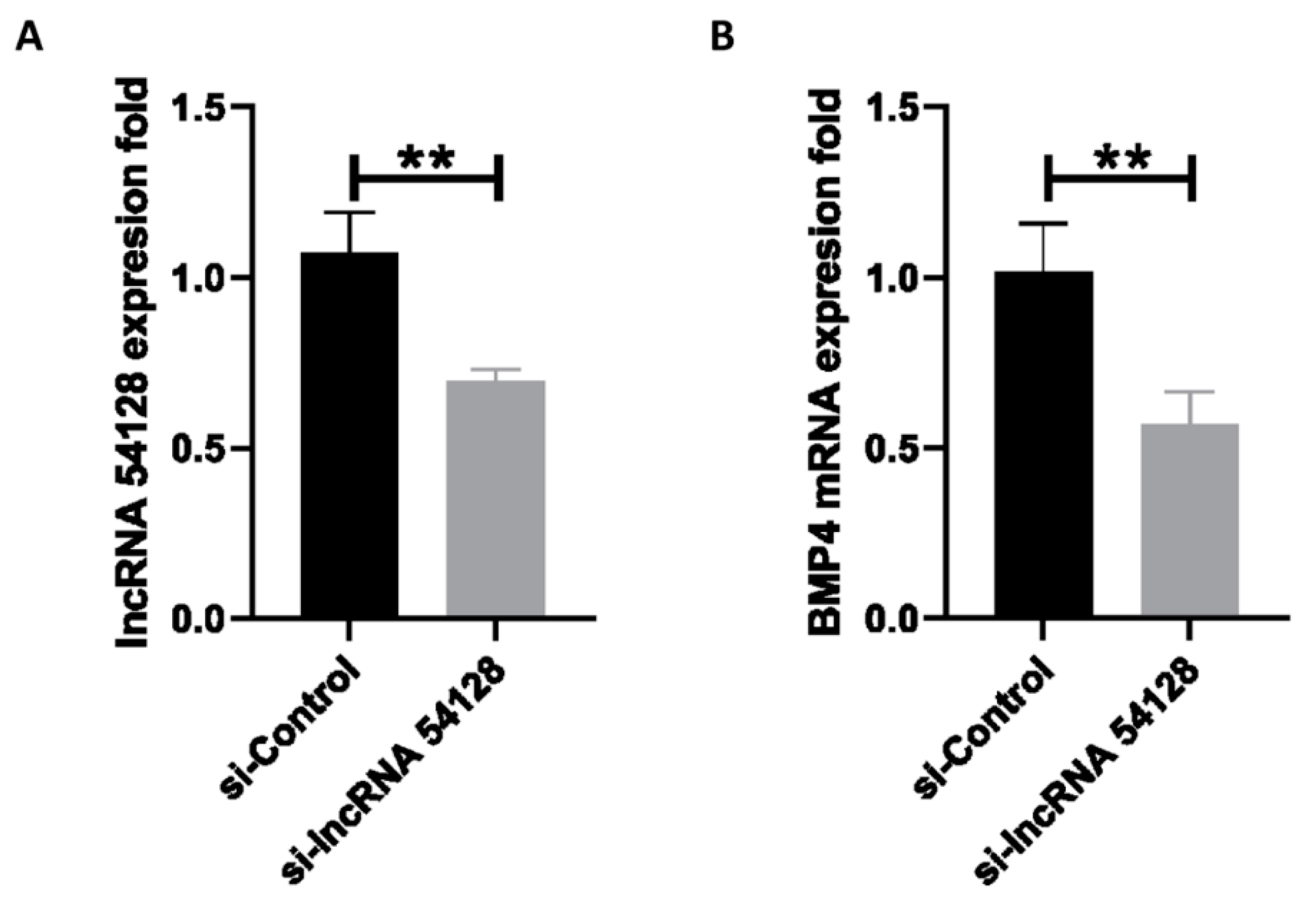 Viruses 13 01623 g006 550