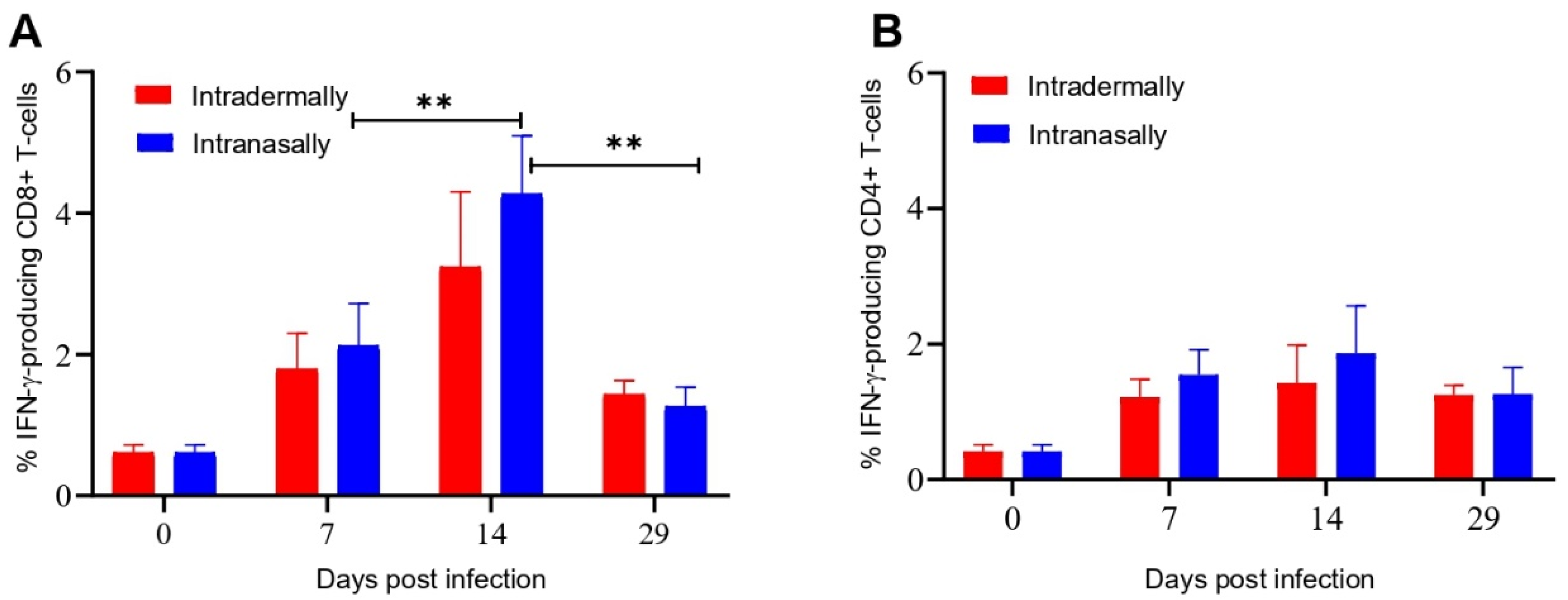 Viruses 13 01631 g003