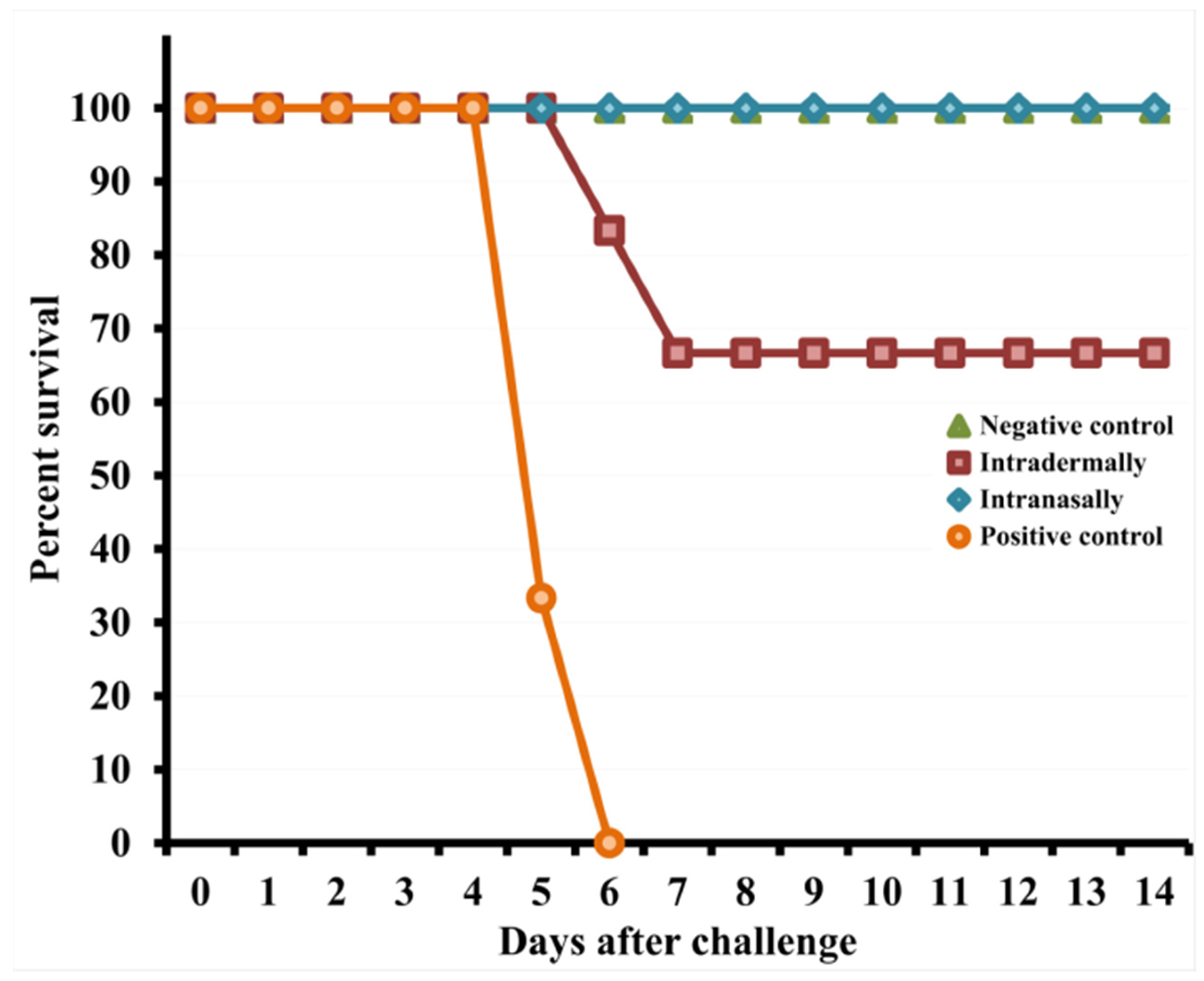 Viruses 13 01631 g006