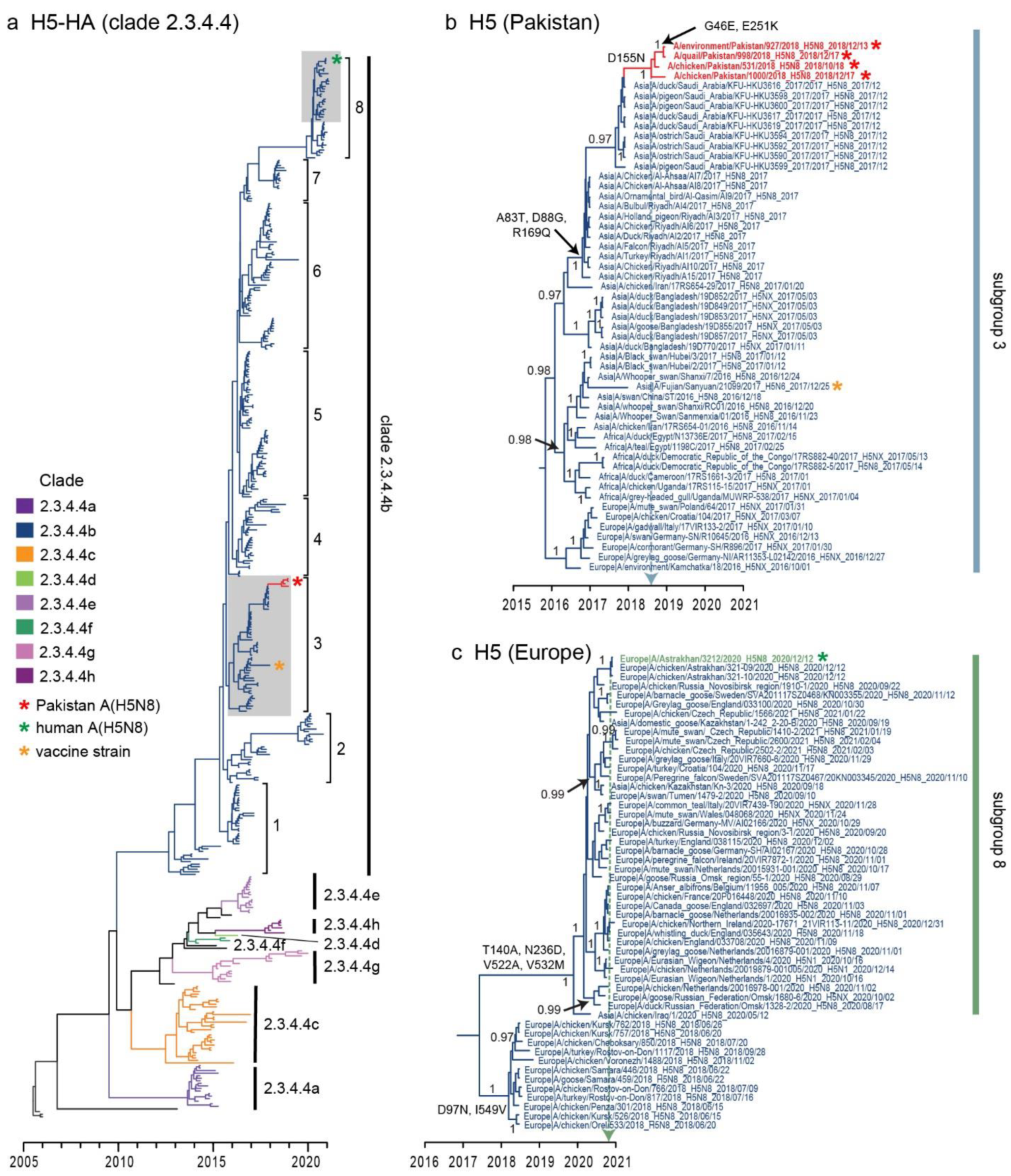 Viruses 13 01633 g002 550