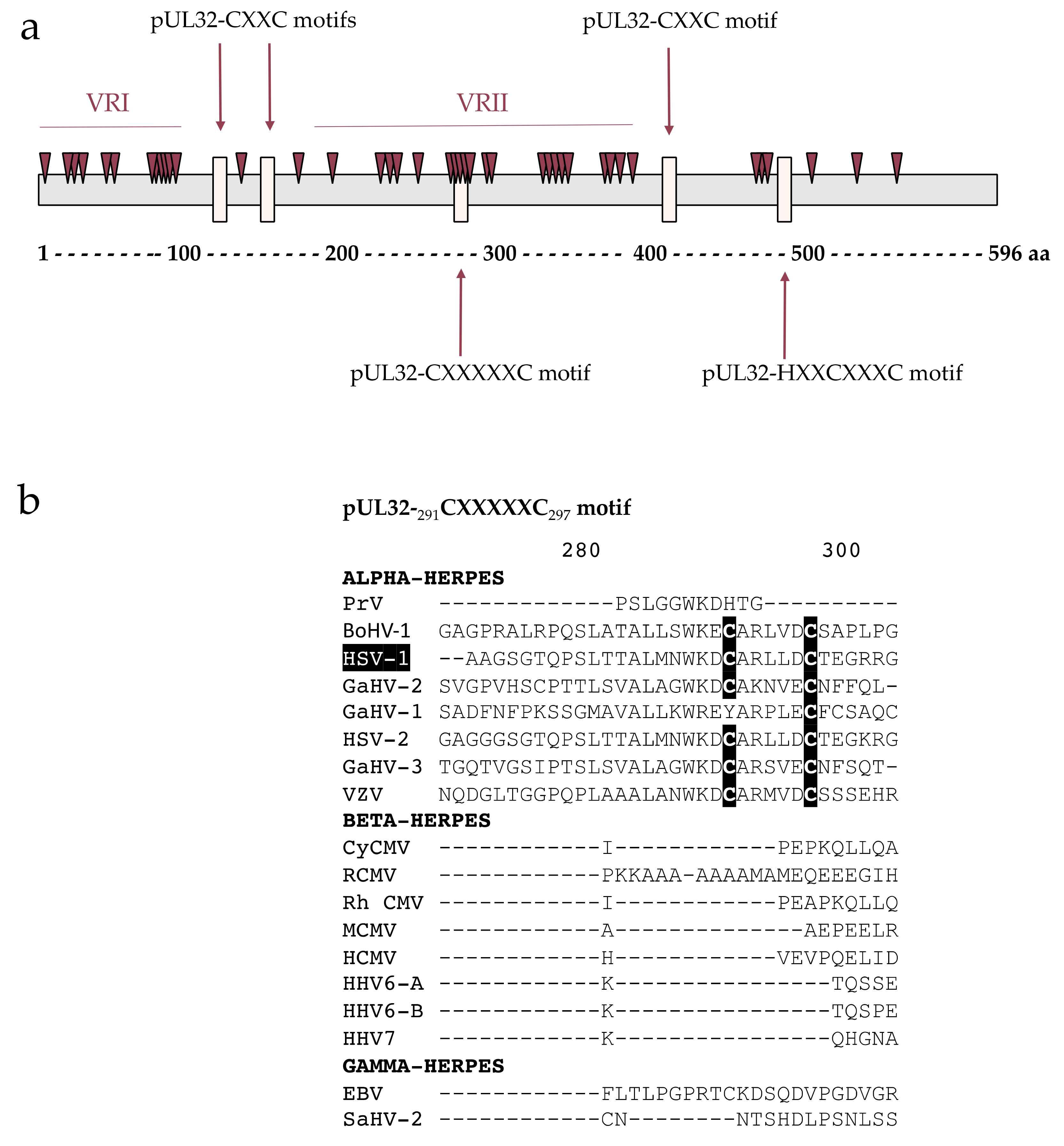 Viruses 13 01638 g002