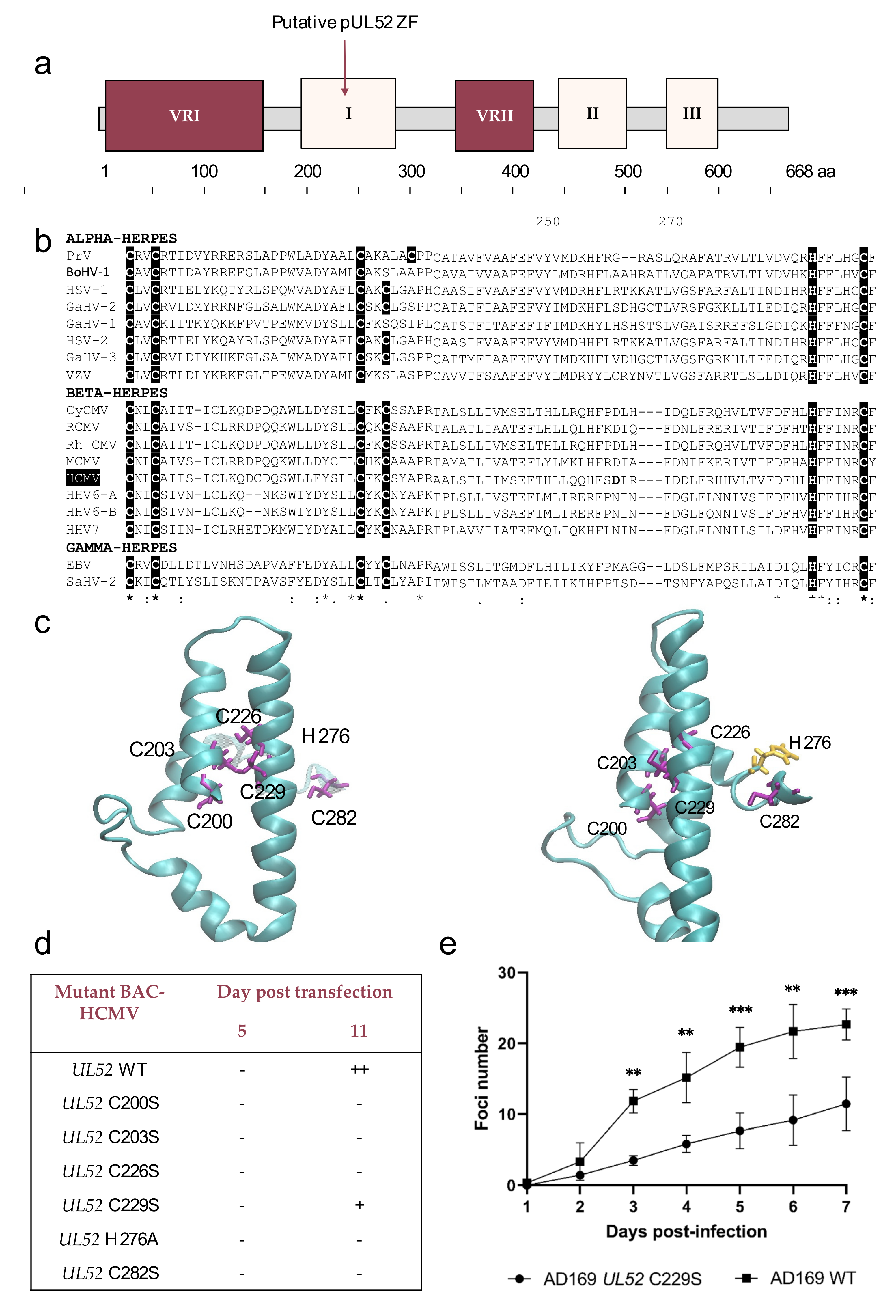 Viruses 13 01638 g003