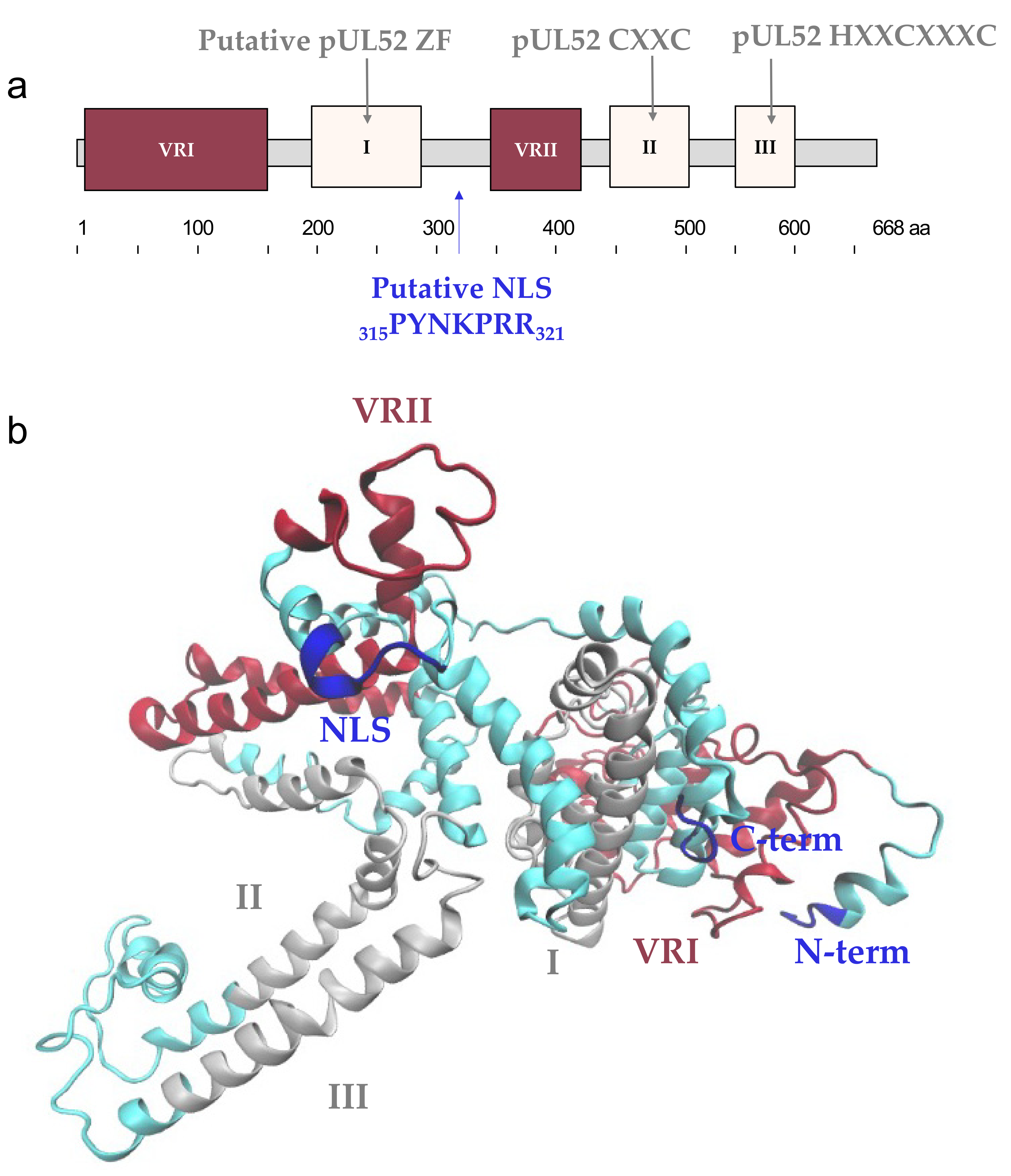 Viruses 13 01638 g006