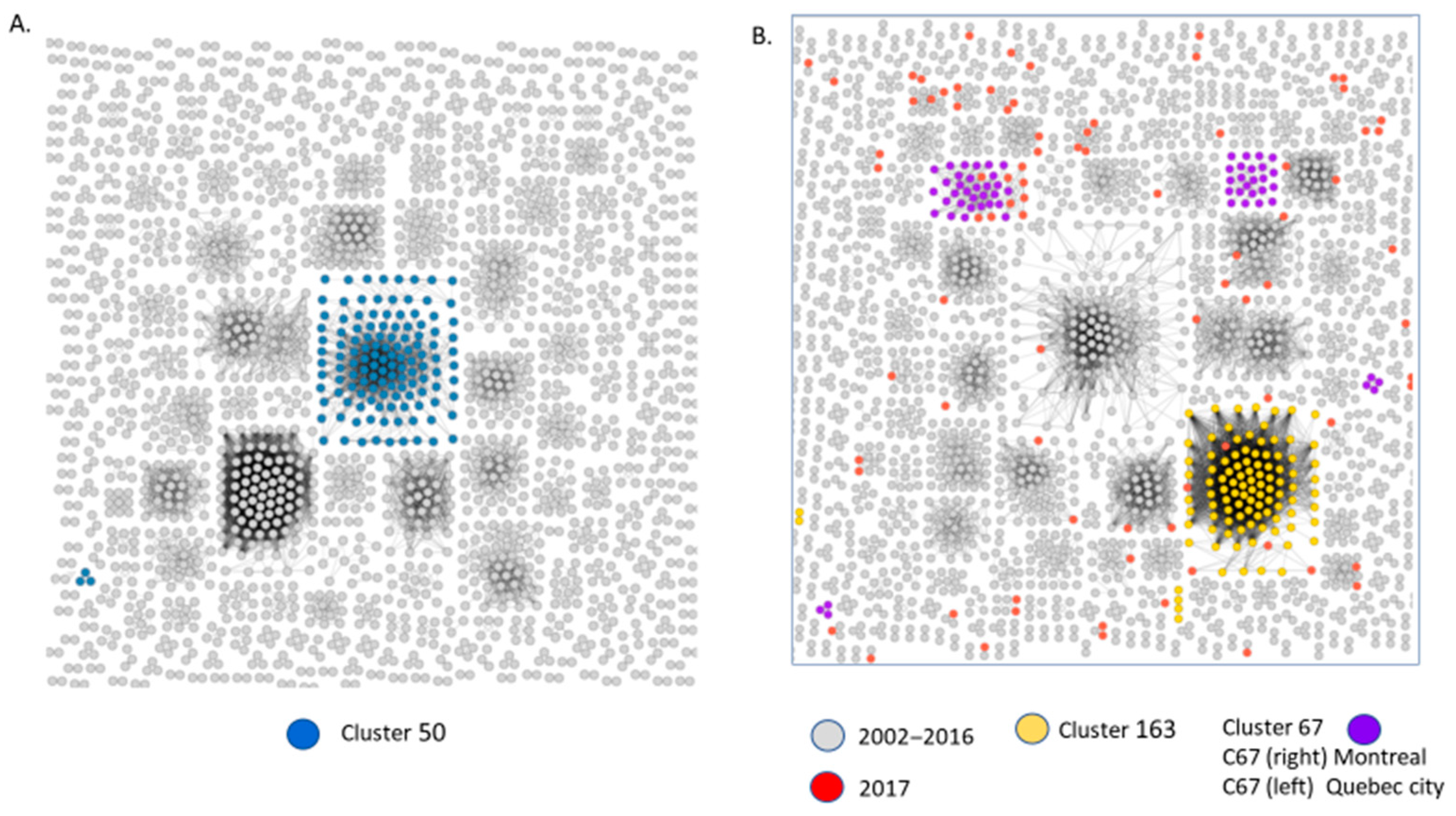 Viruses 13 01643 g004