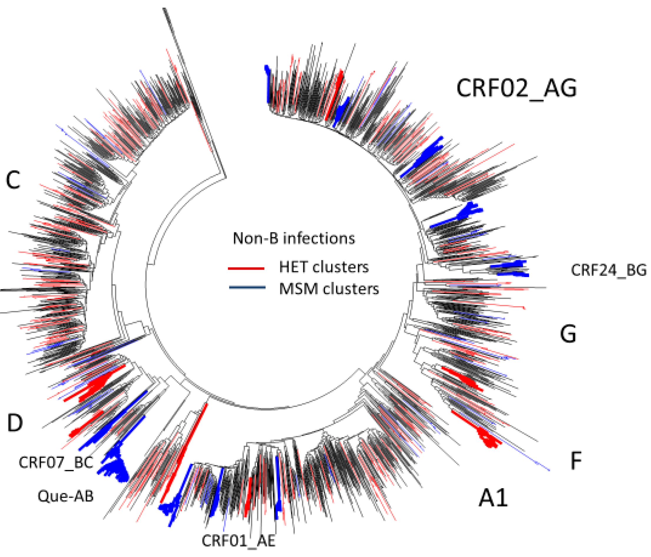 Viruses 13 01643 g009