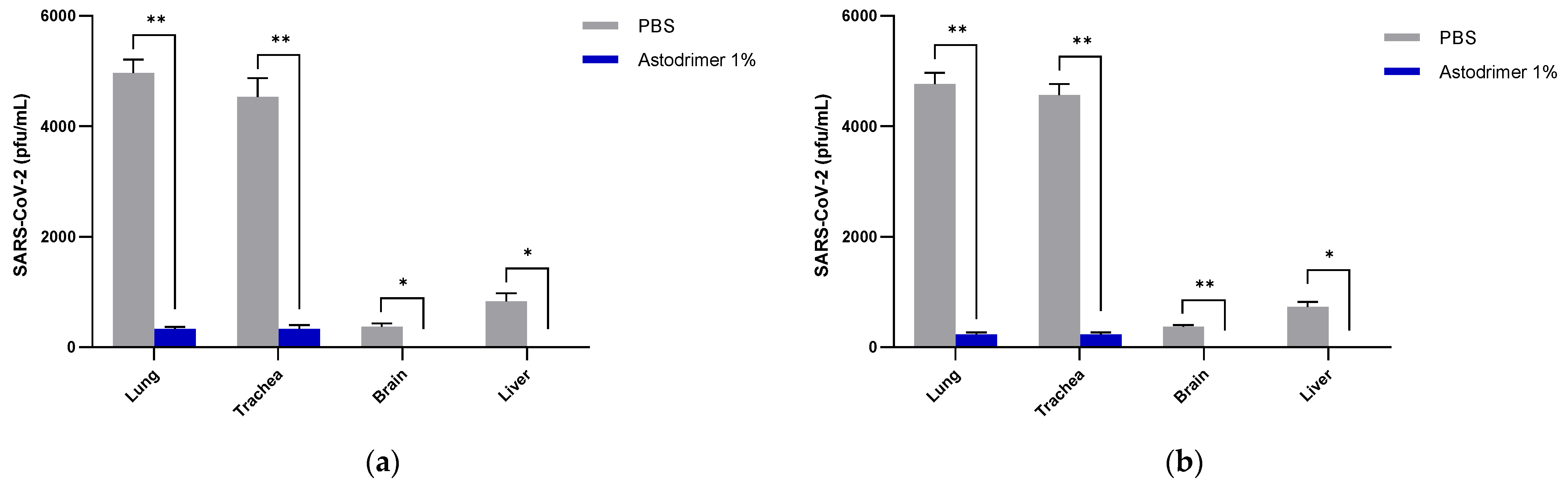 Viruses 13 01656 g005 550