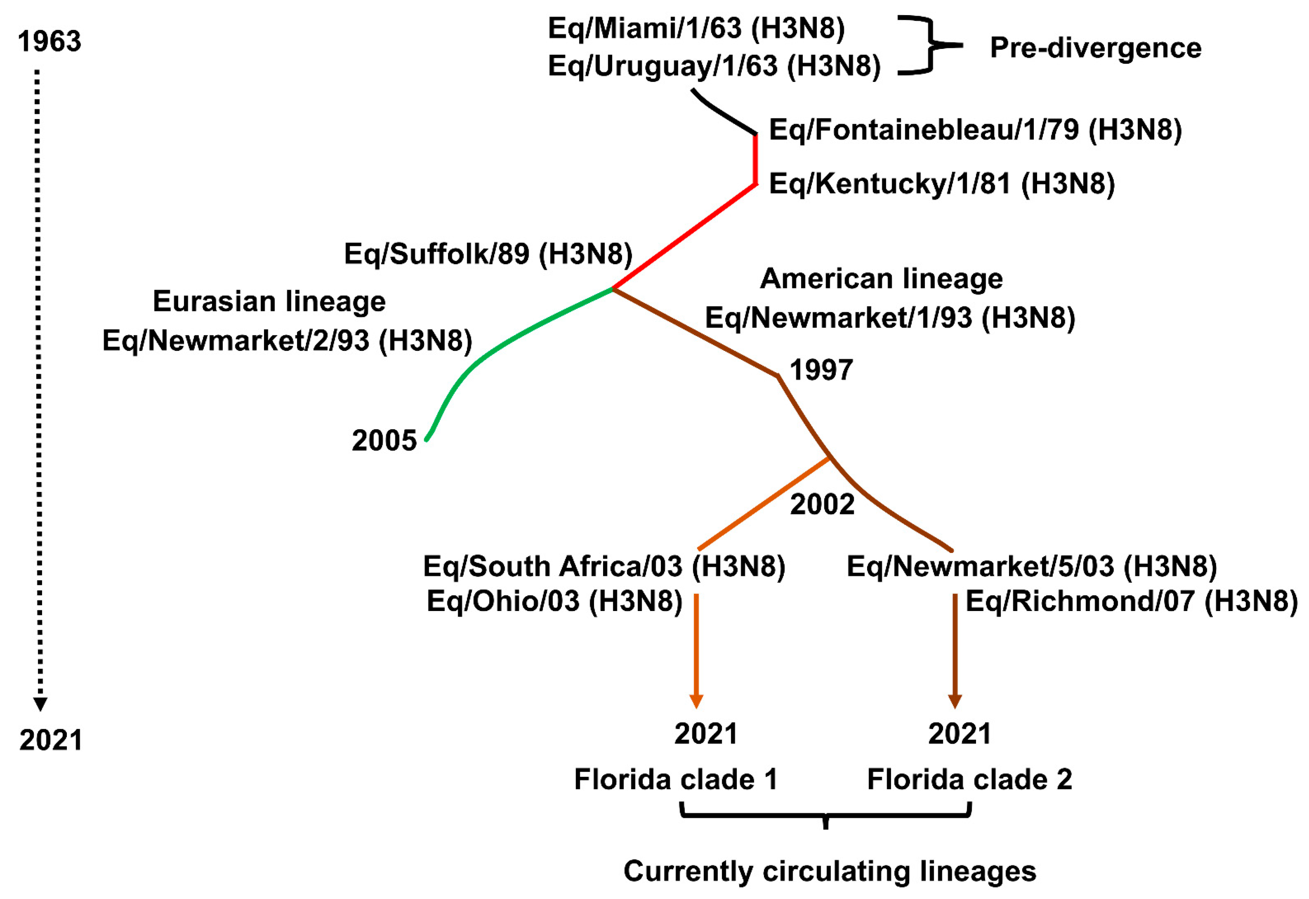 Viruses 13 01657 g004