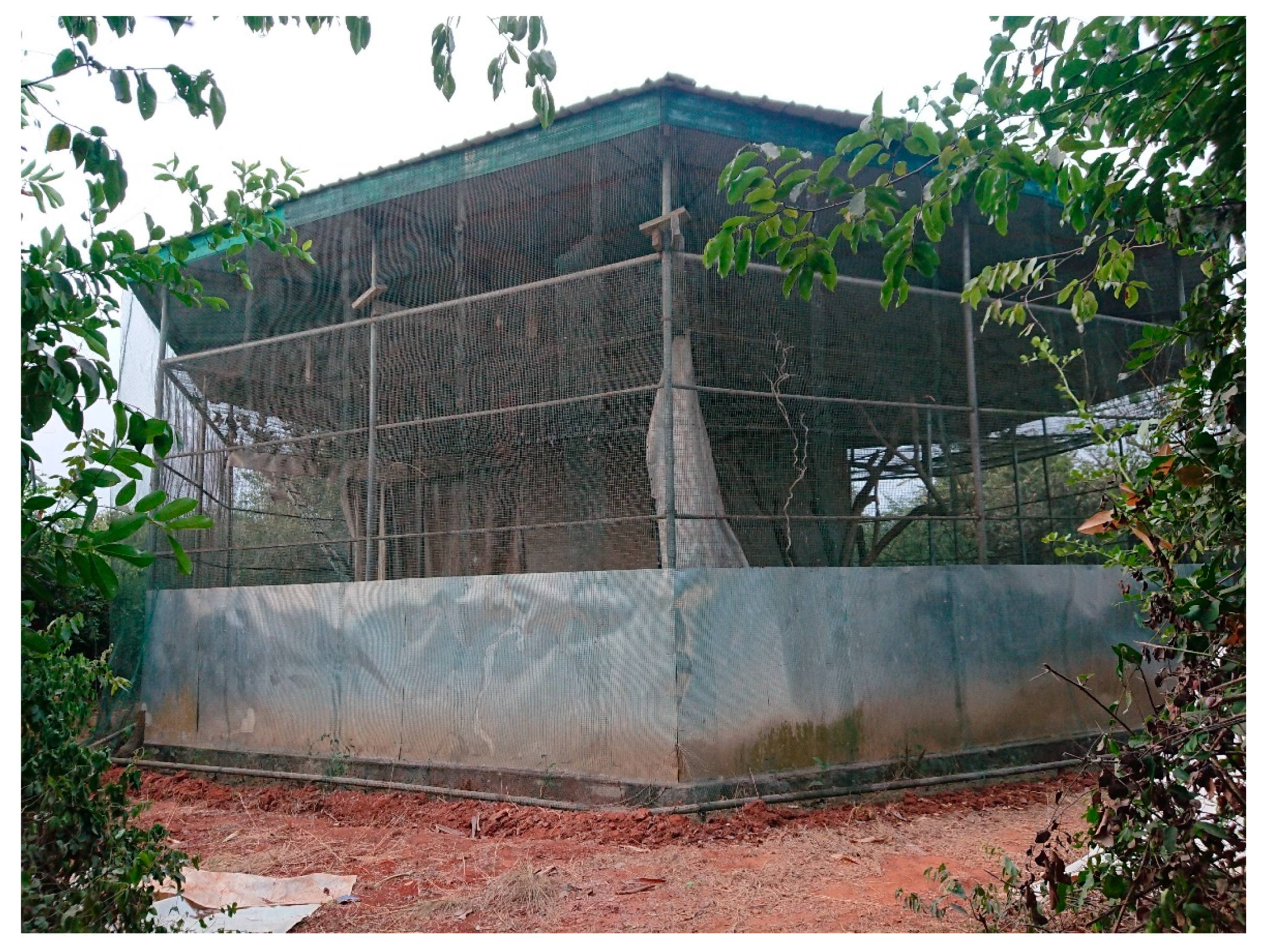 Viruses 13 01659 g001