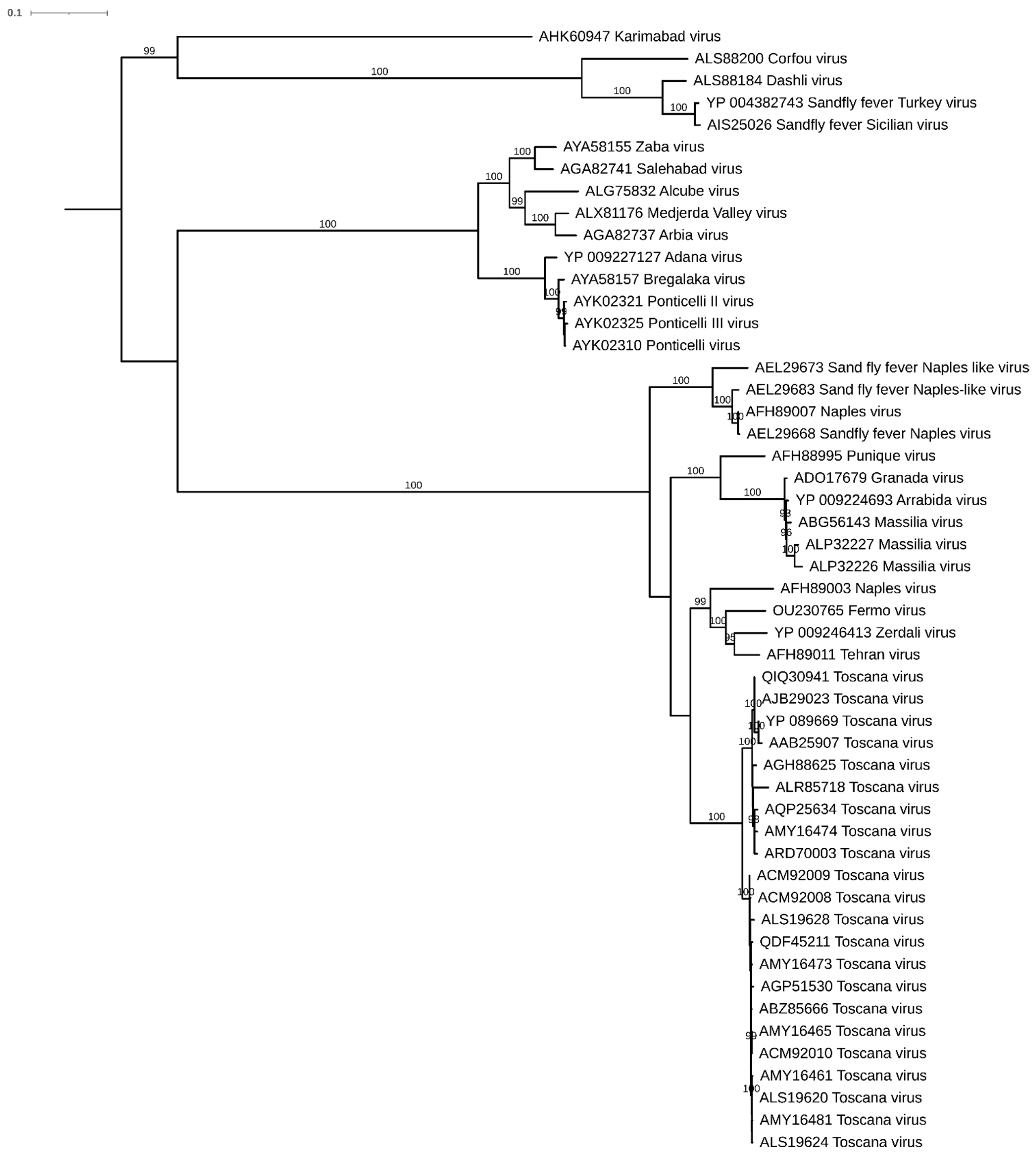 Viruses 13 01660 g004