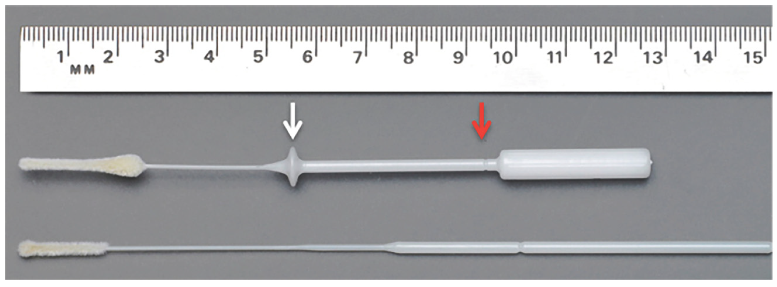 Viruses 13 01663 g001 Viruses 13 01663 g001