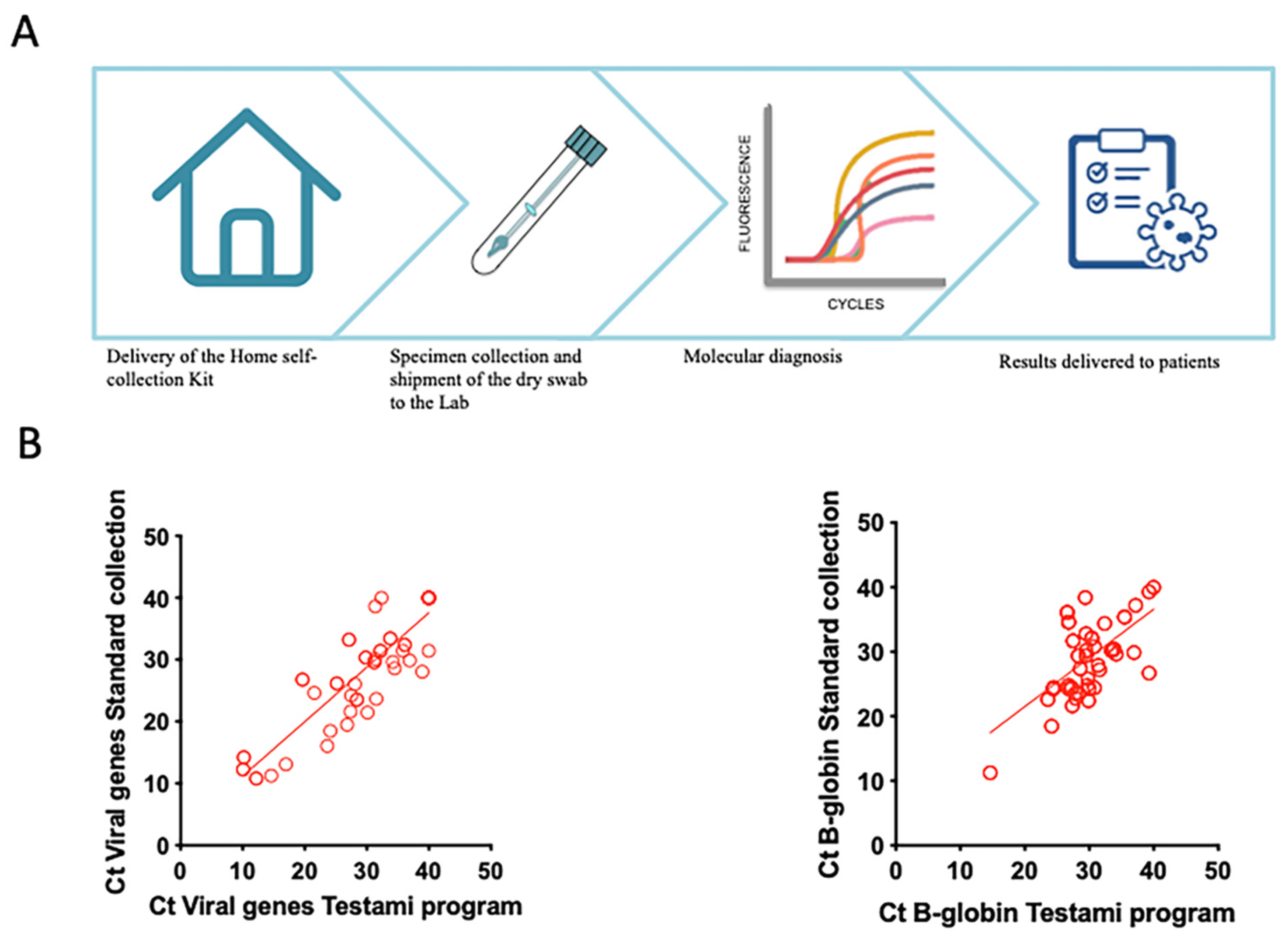 Viruses 13 01663 g004 Viruses 13 01663 g004