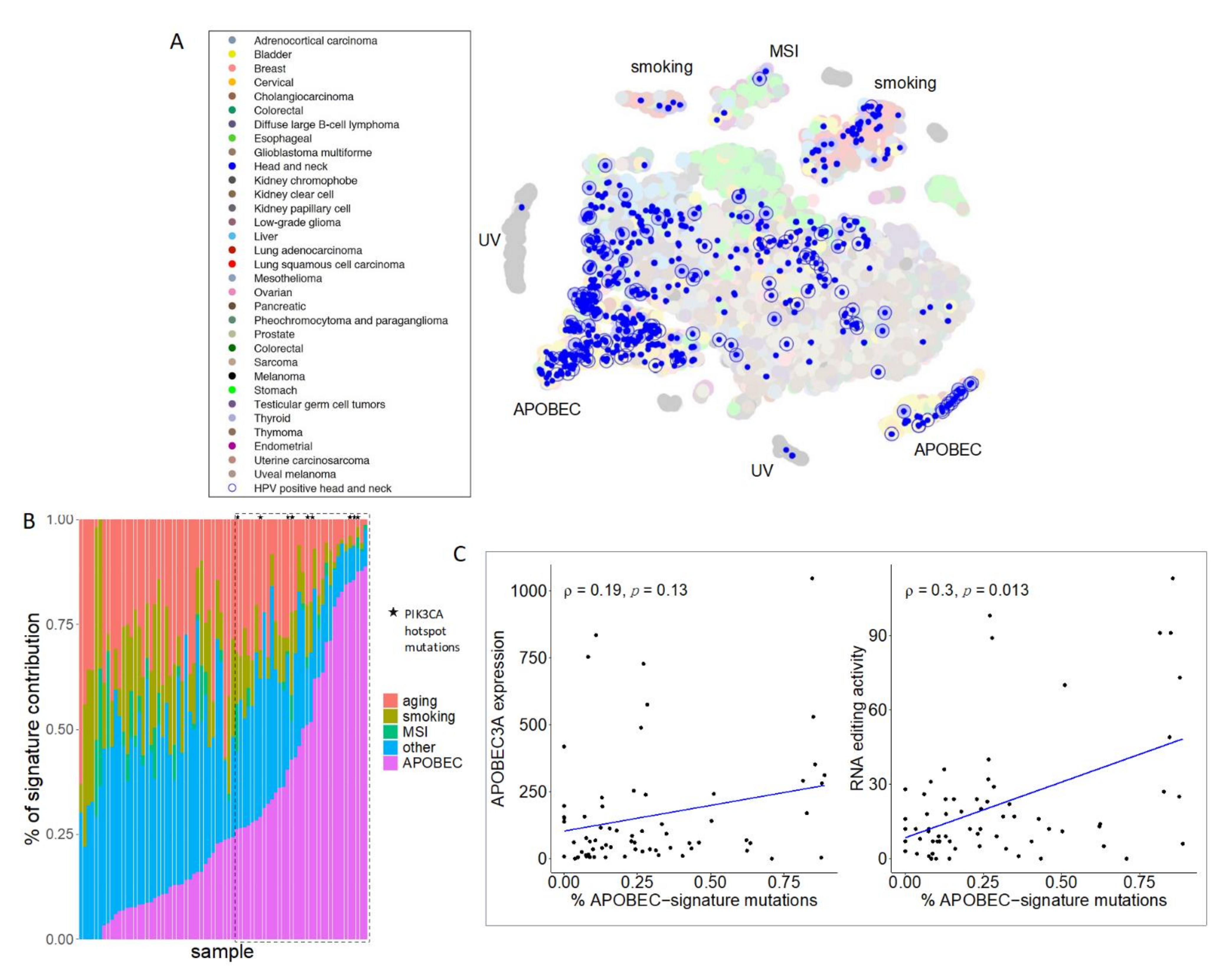Viruses 13 01666 g001 550