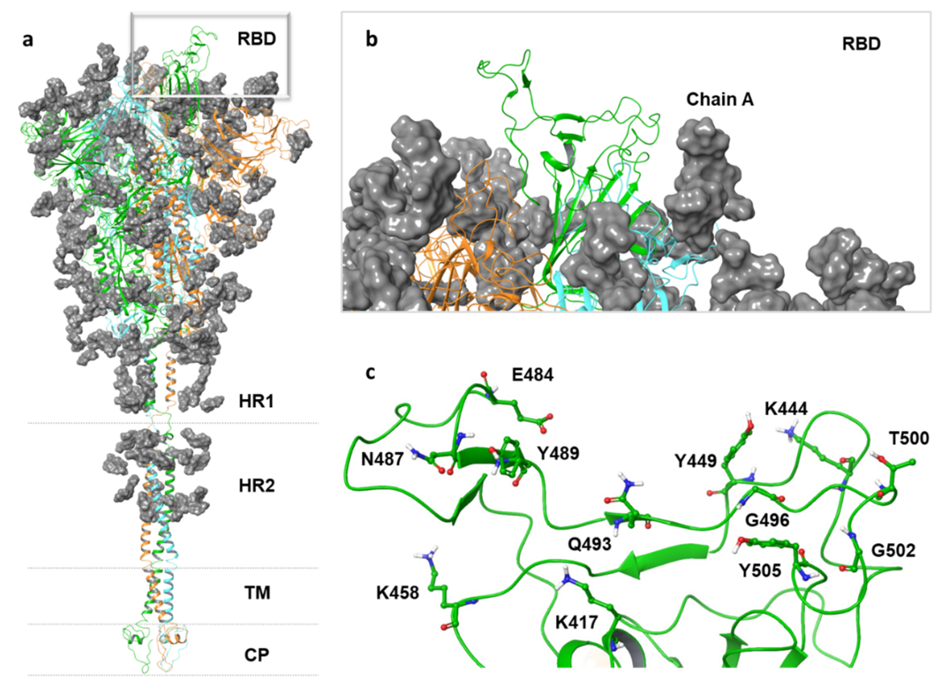 Viruses 13 01667 g001