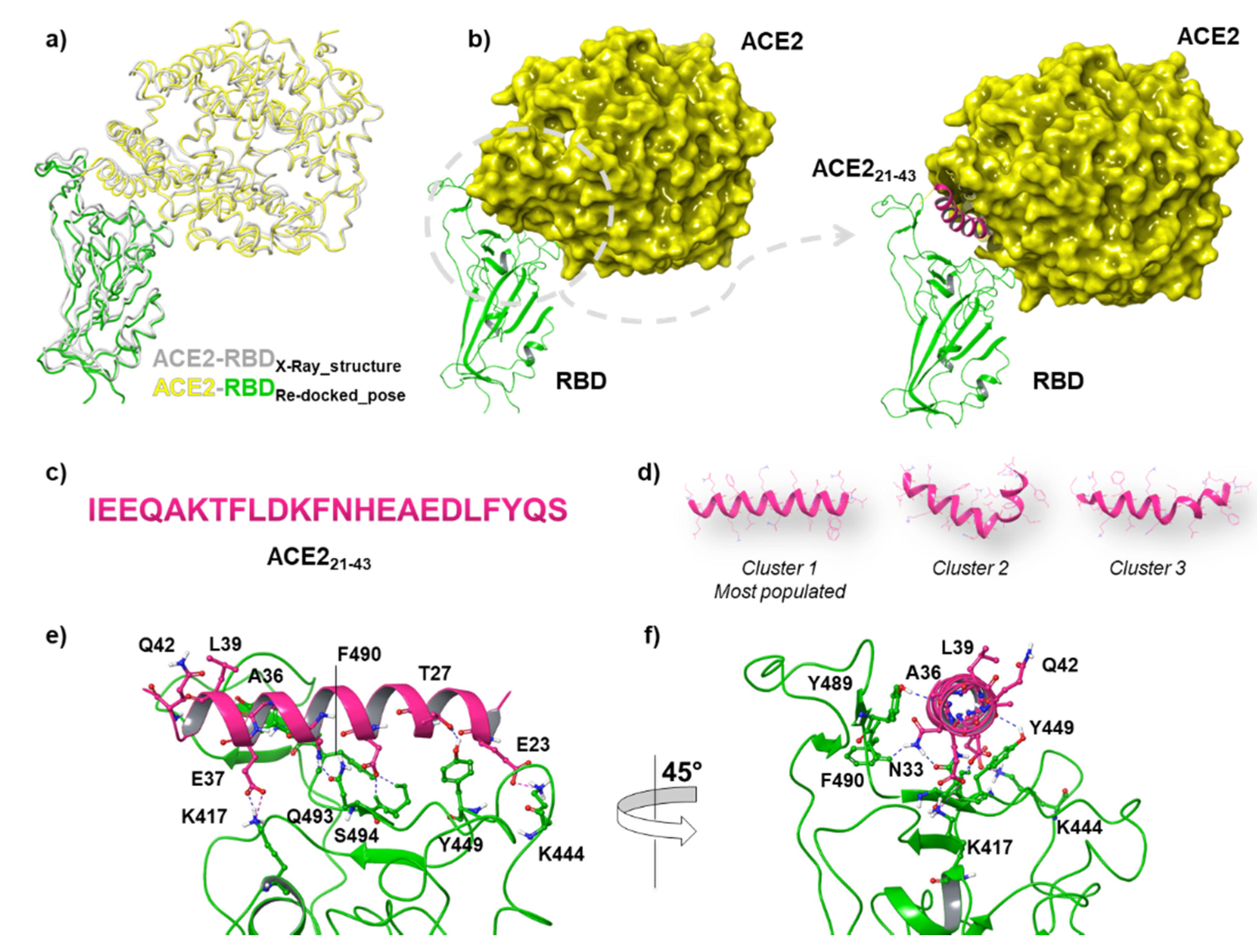 Viruses 13 01667 g002
