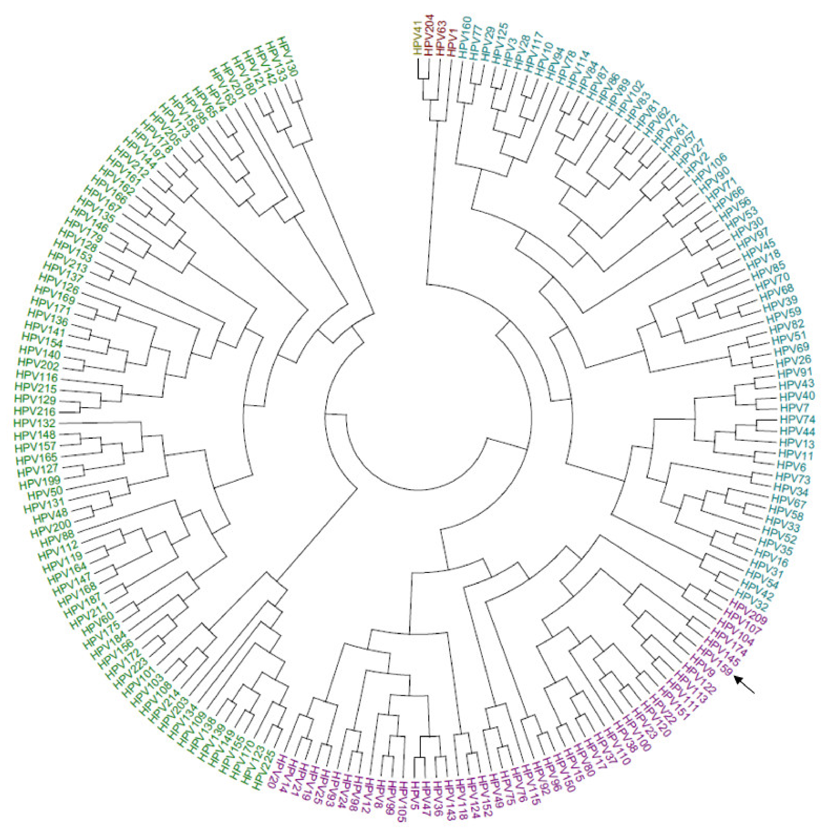 Viruses 13 01668 g002