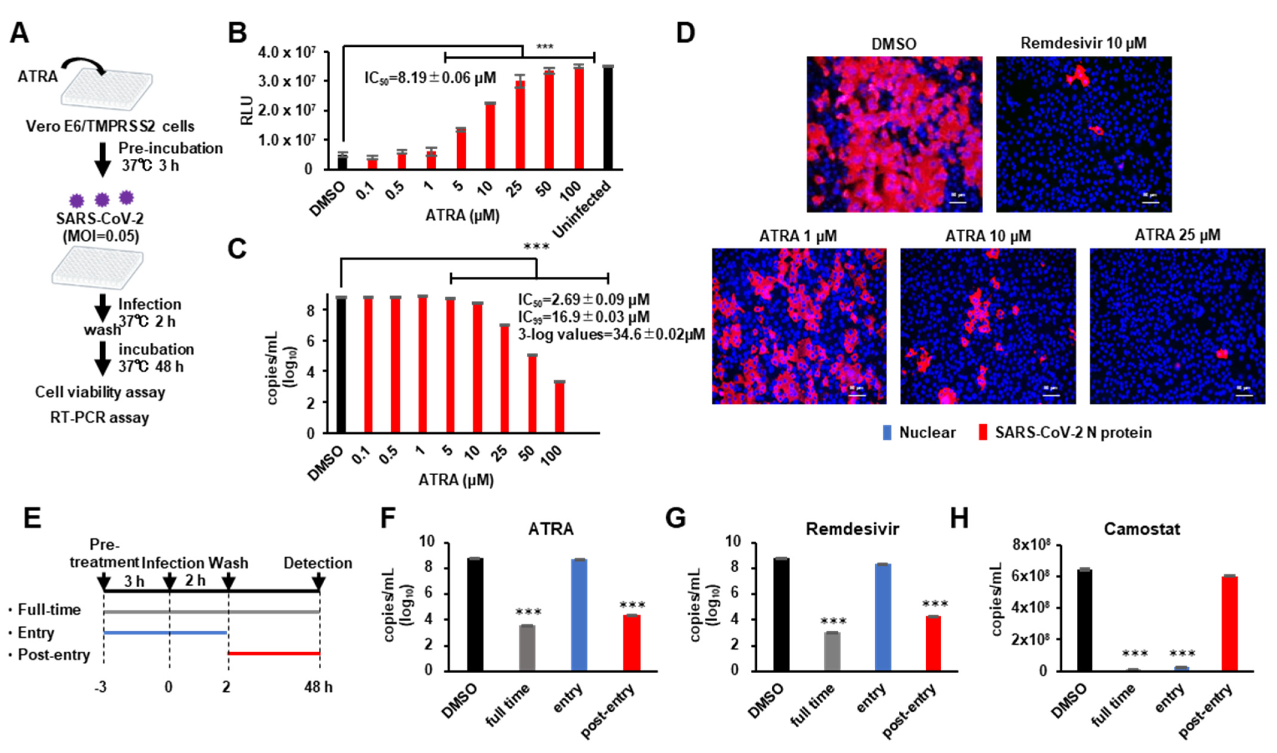 Viruses 13 01669 g003