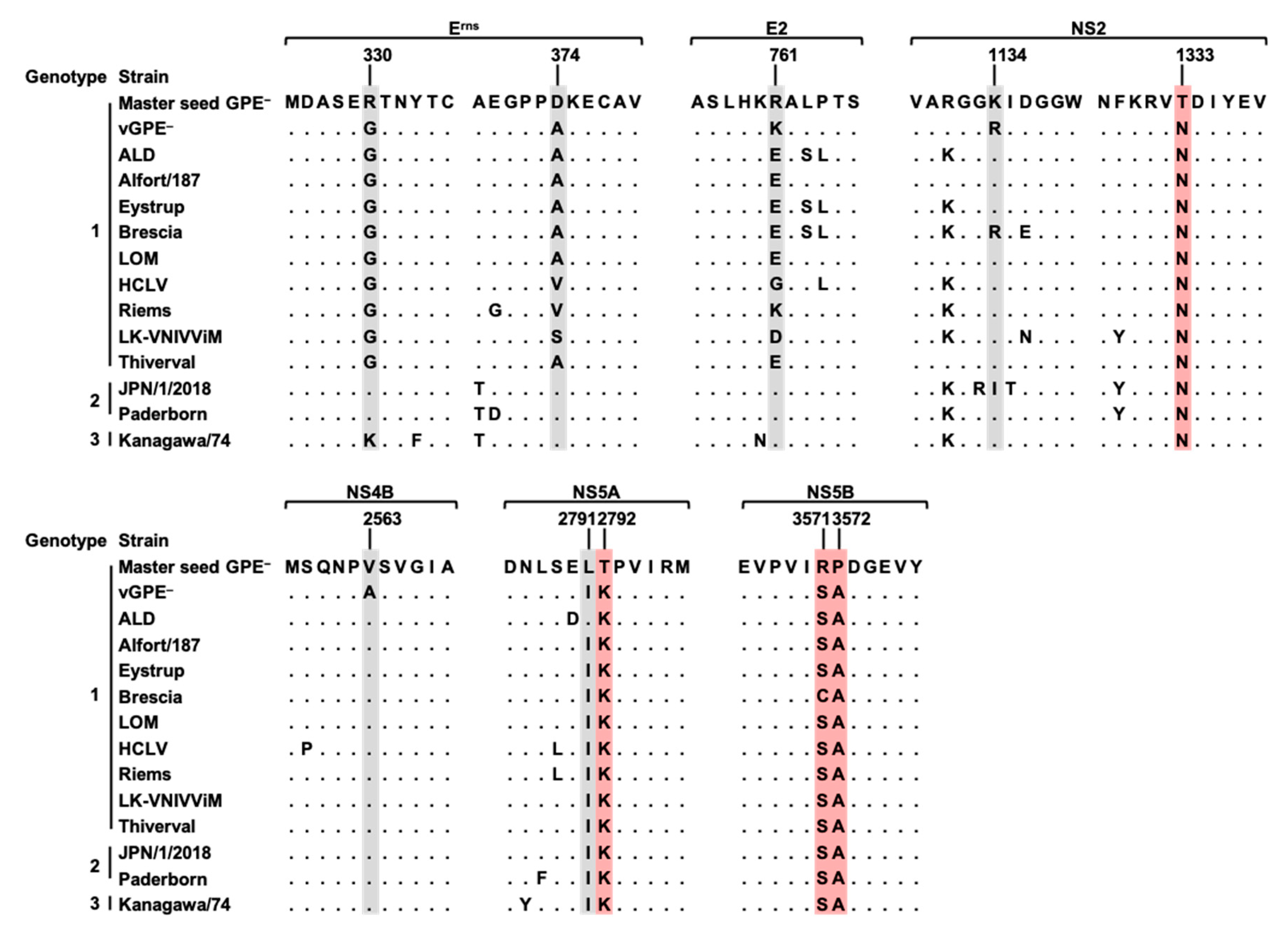 Viruses 13 01672 g003