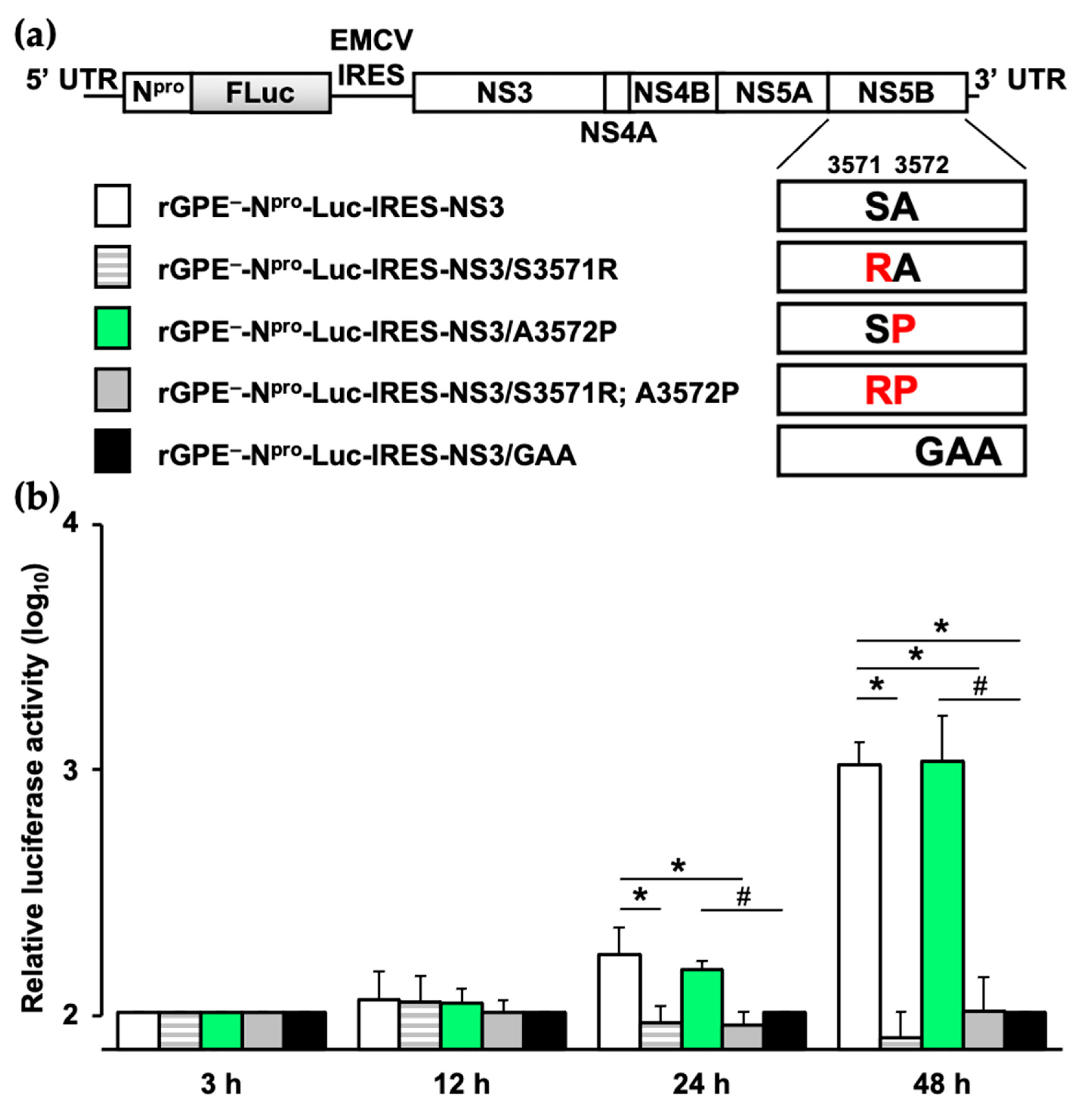 Viruses 13 01672 g004