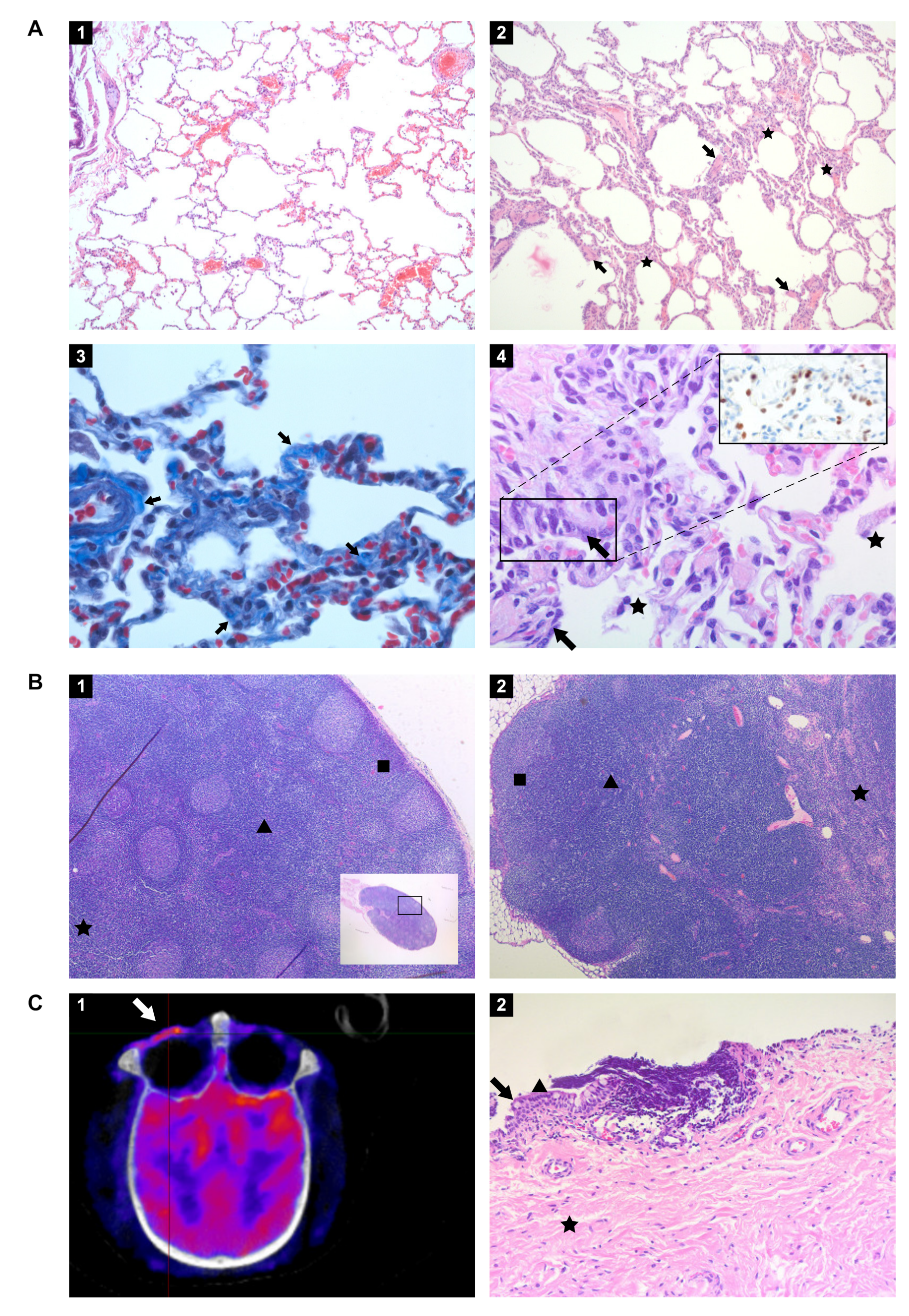 Viruses 13 01673 g008 550