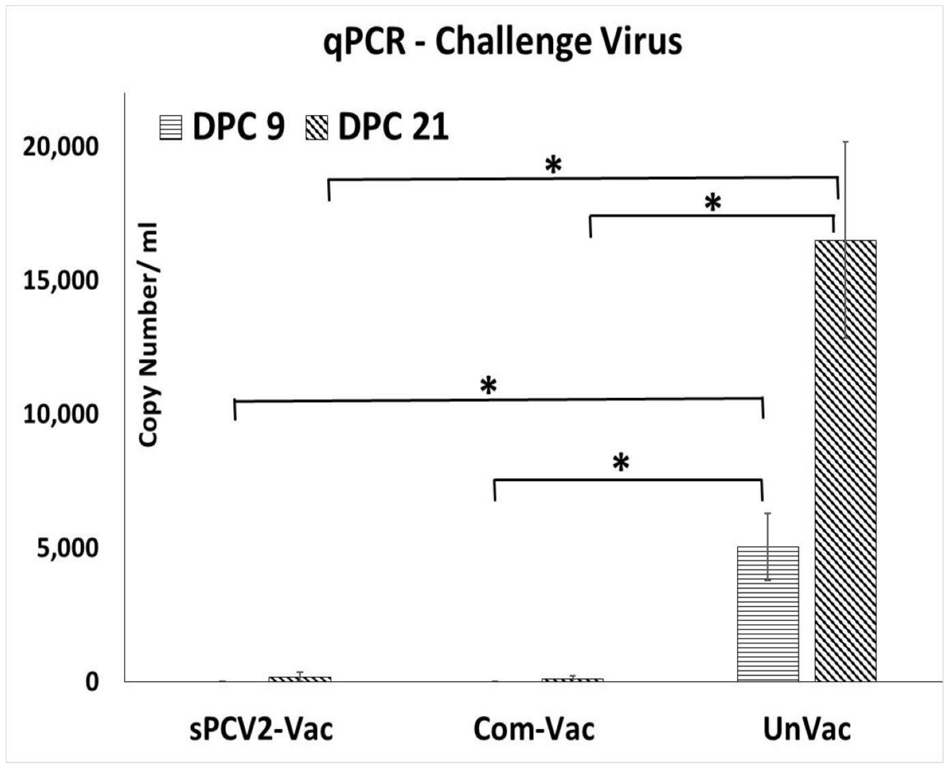 Viruses 13 01676 g003