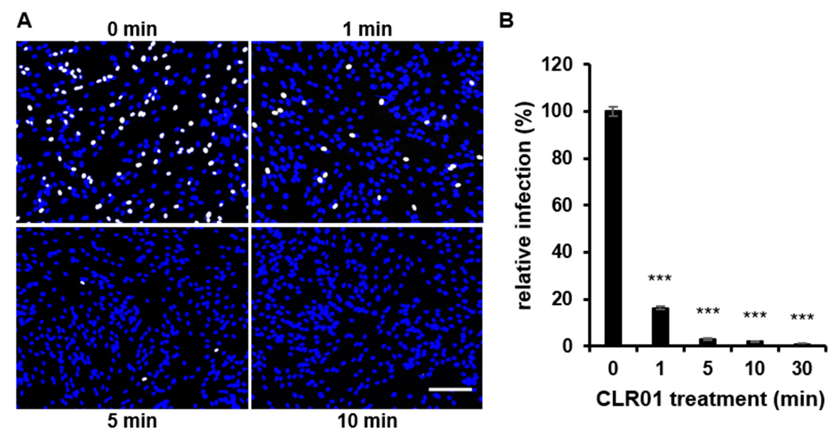 Viruses 13 01685 g004 550