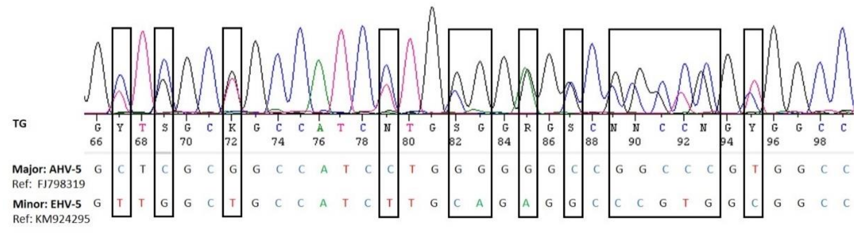 Viruses 13 01686 g004 Viruses 13 01686 g004