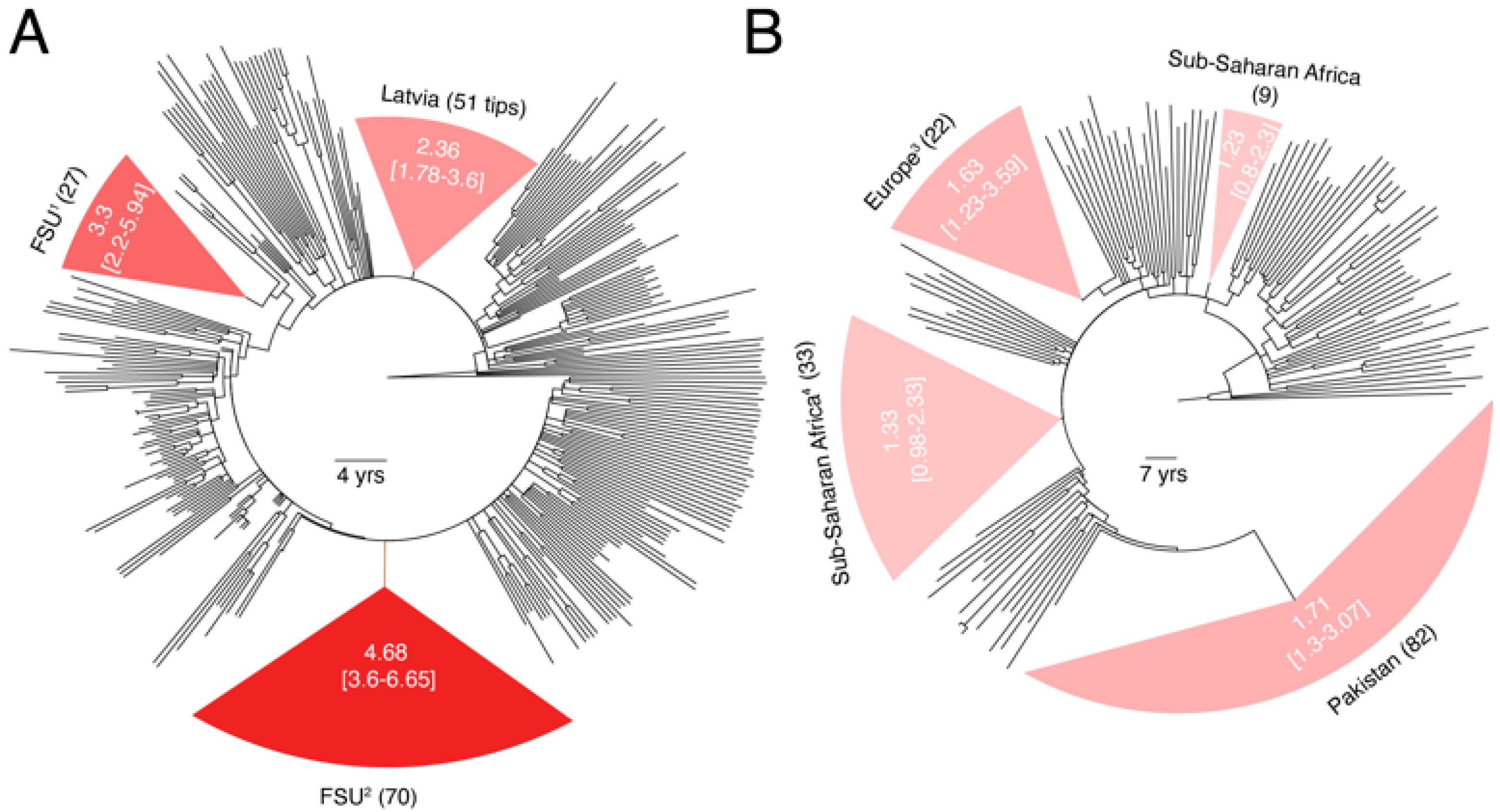 Viruses 13 01689 g003
