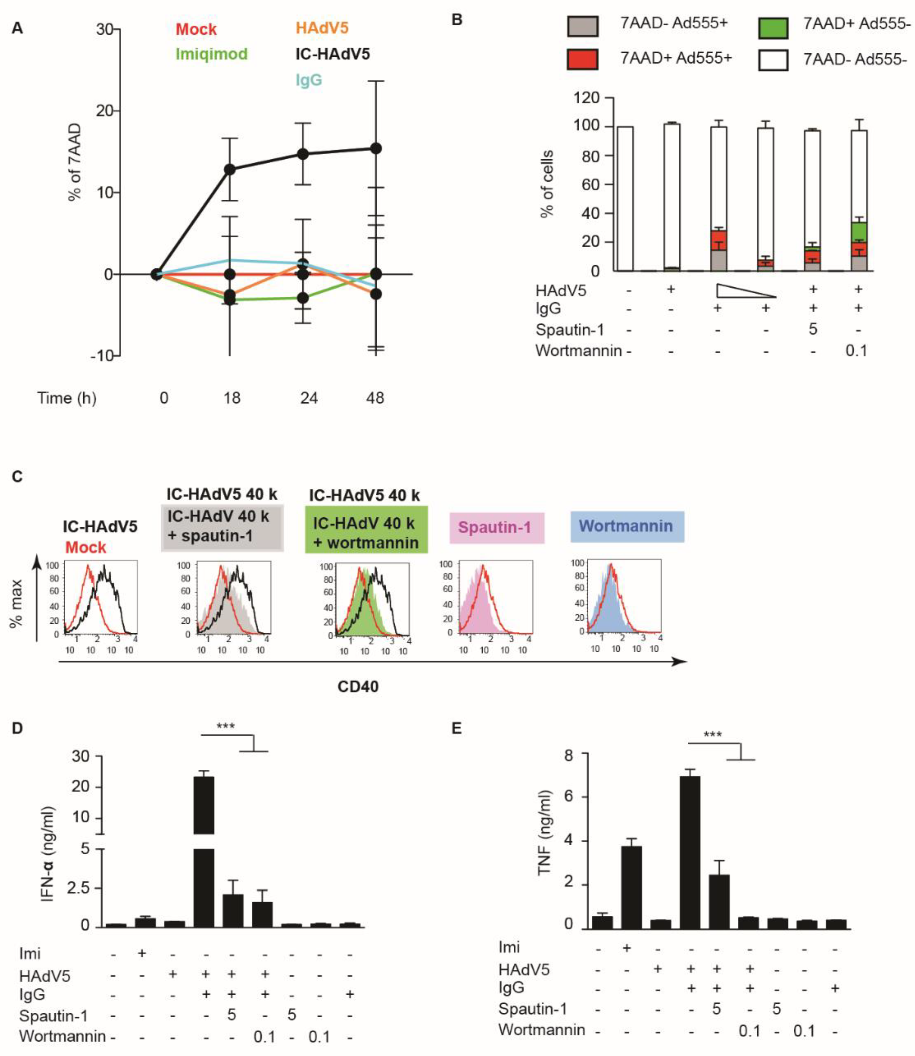 Viruses 13 01699 g004