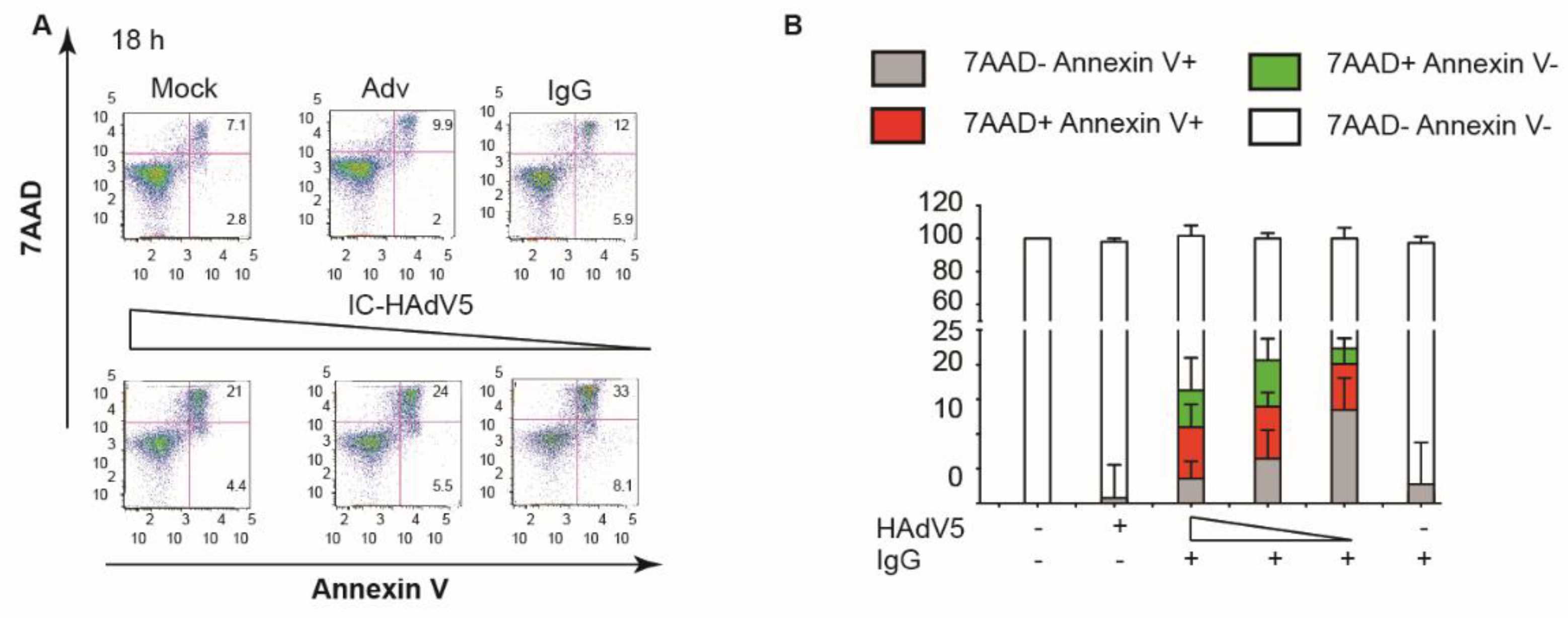 Viruses 13 01699 g005