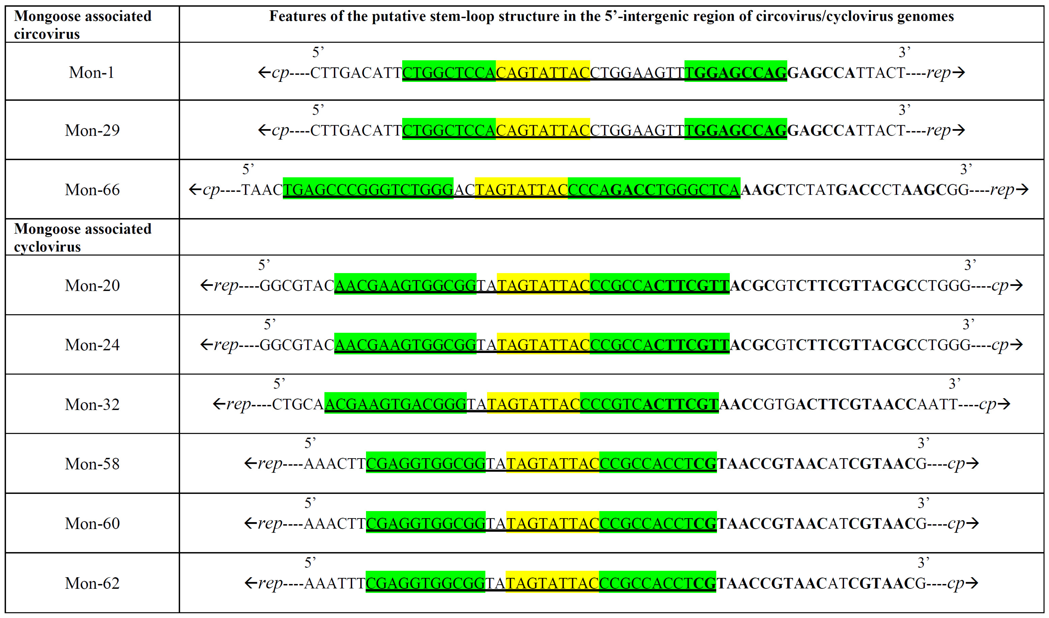 Viruses 13 01700 g003