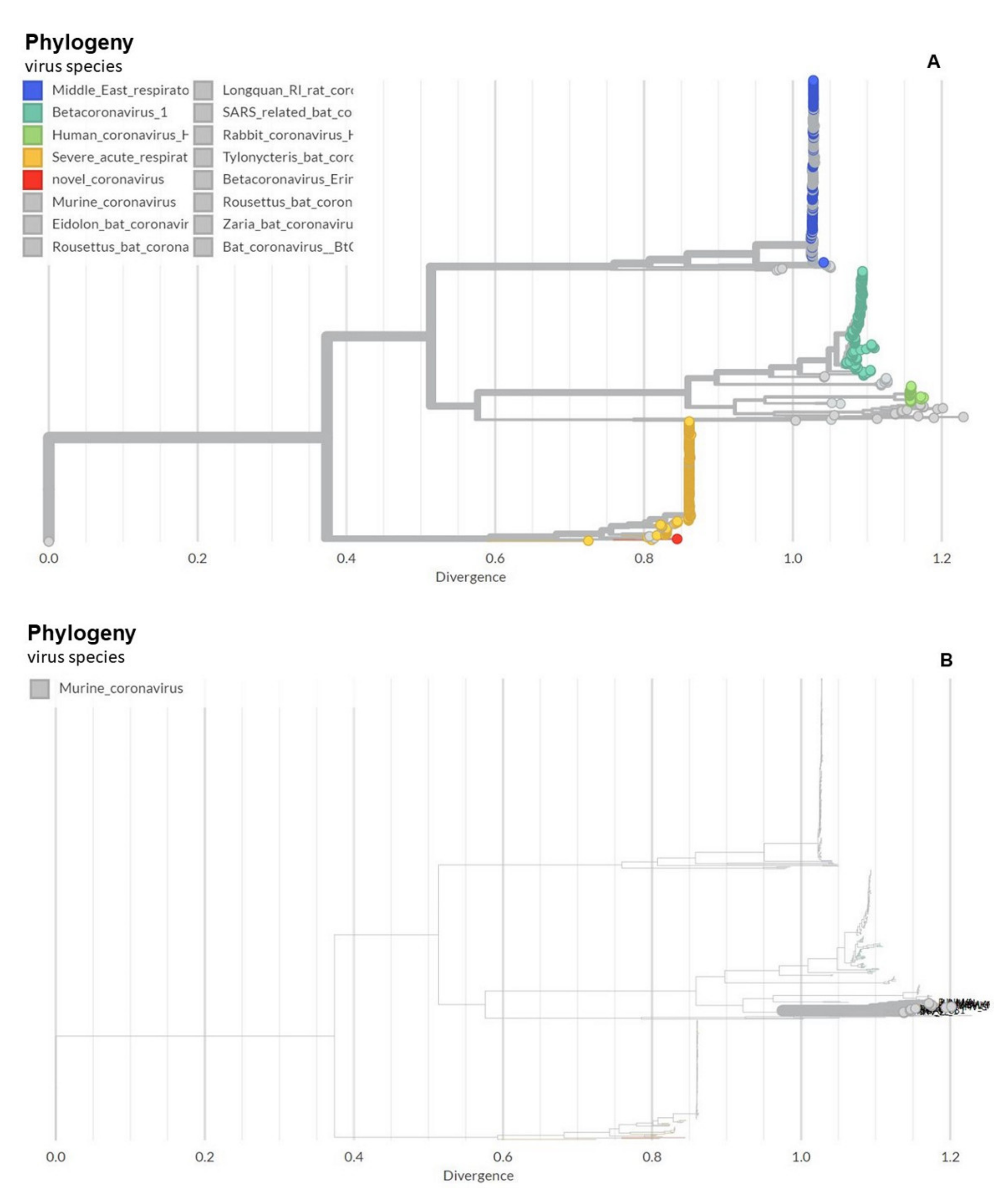 Viruses 13 01703 g001