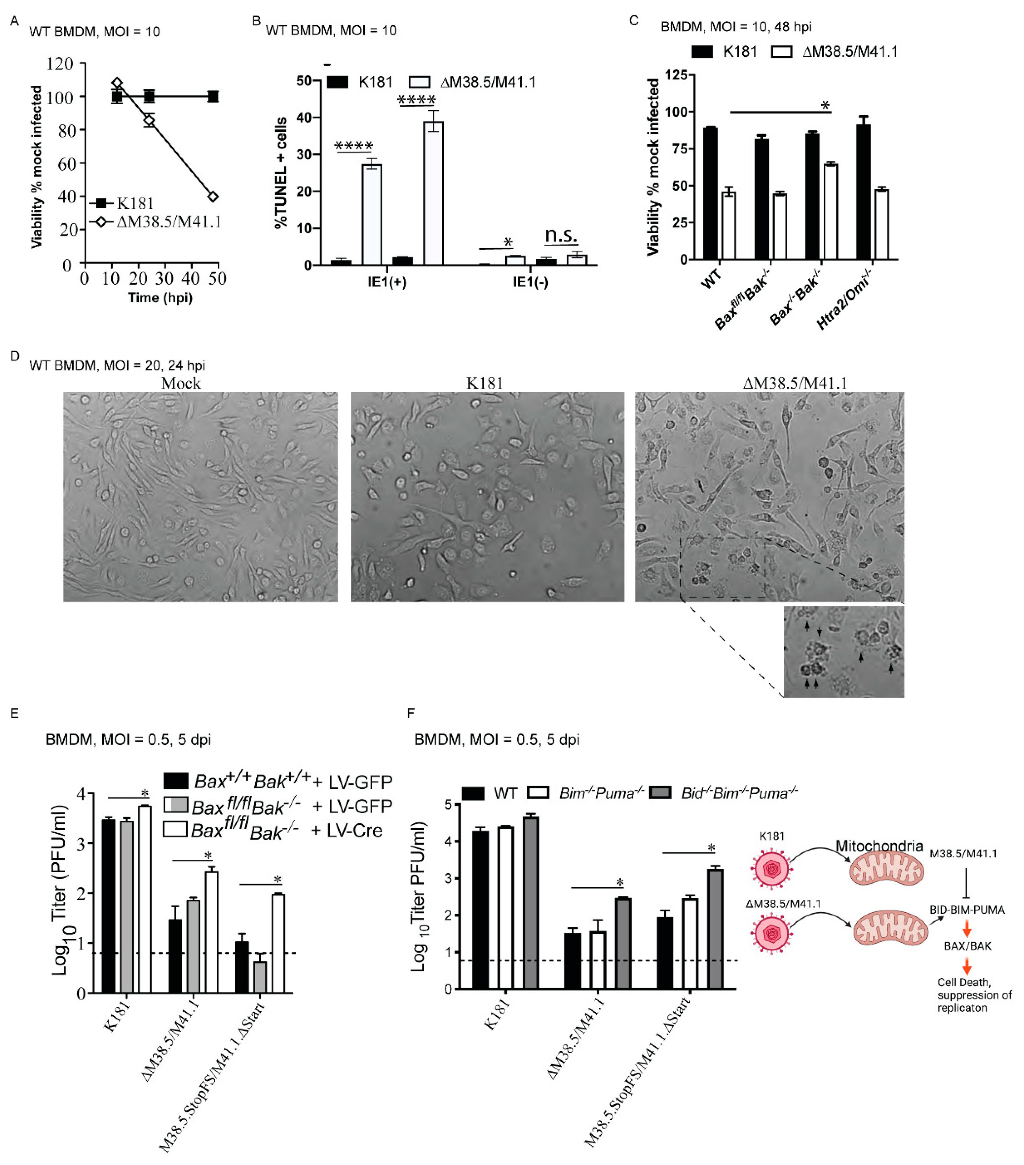 Viruses 13 01707 g002