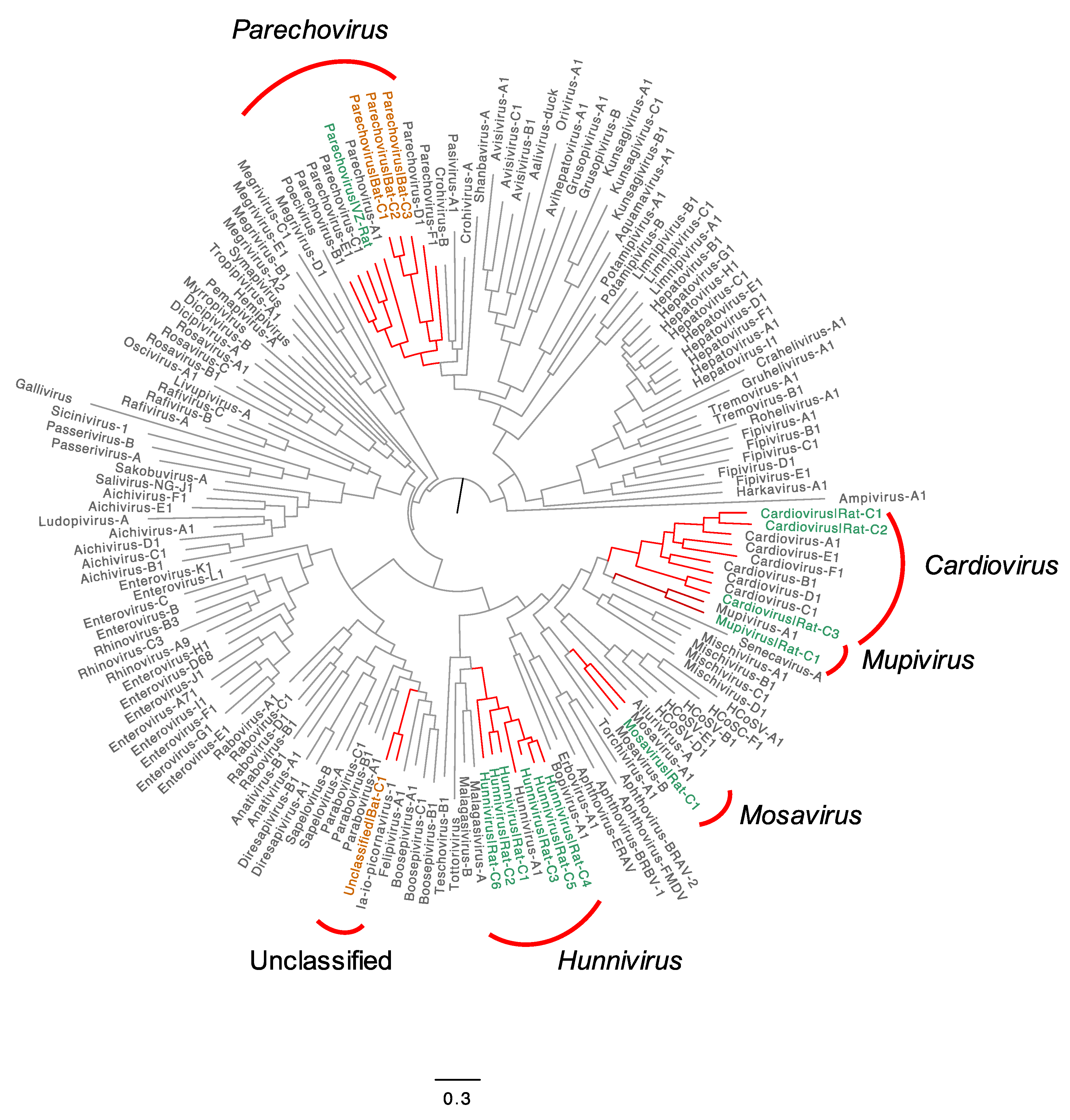 Viruses 13 01709 g004