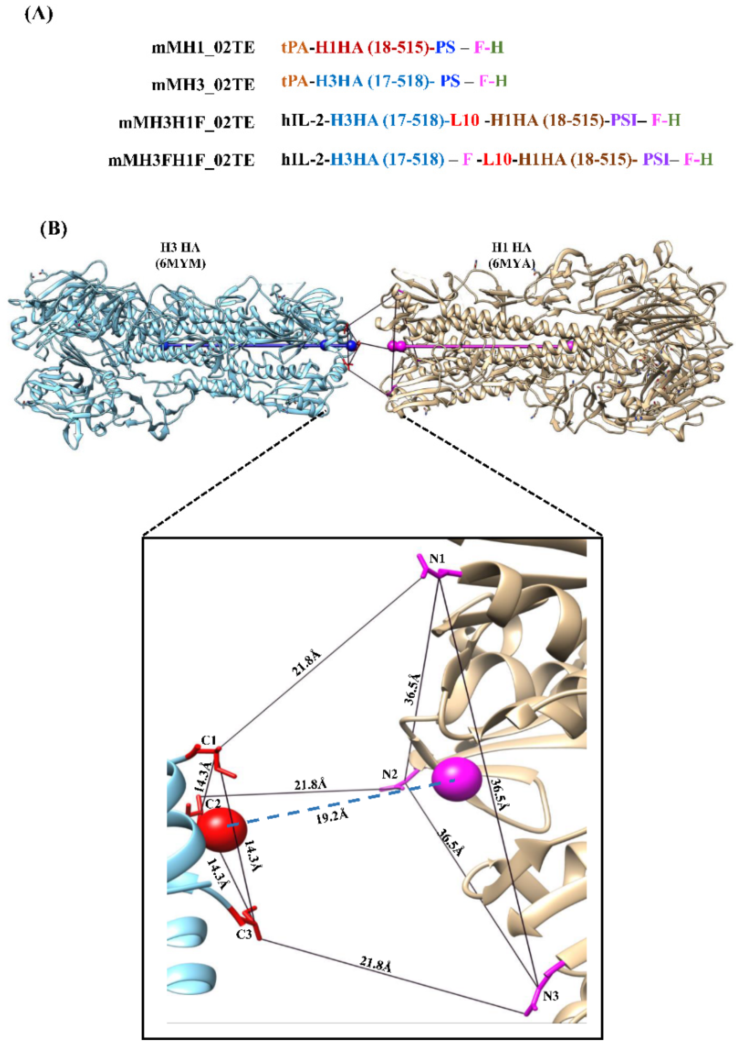 Viruses 13 01710 g001