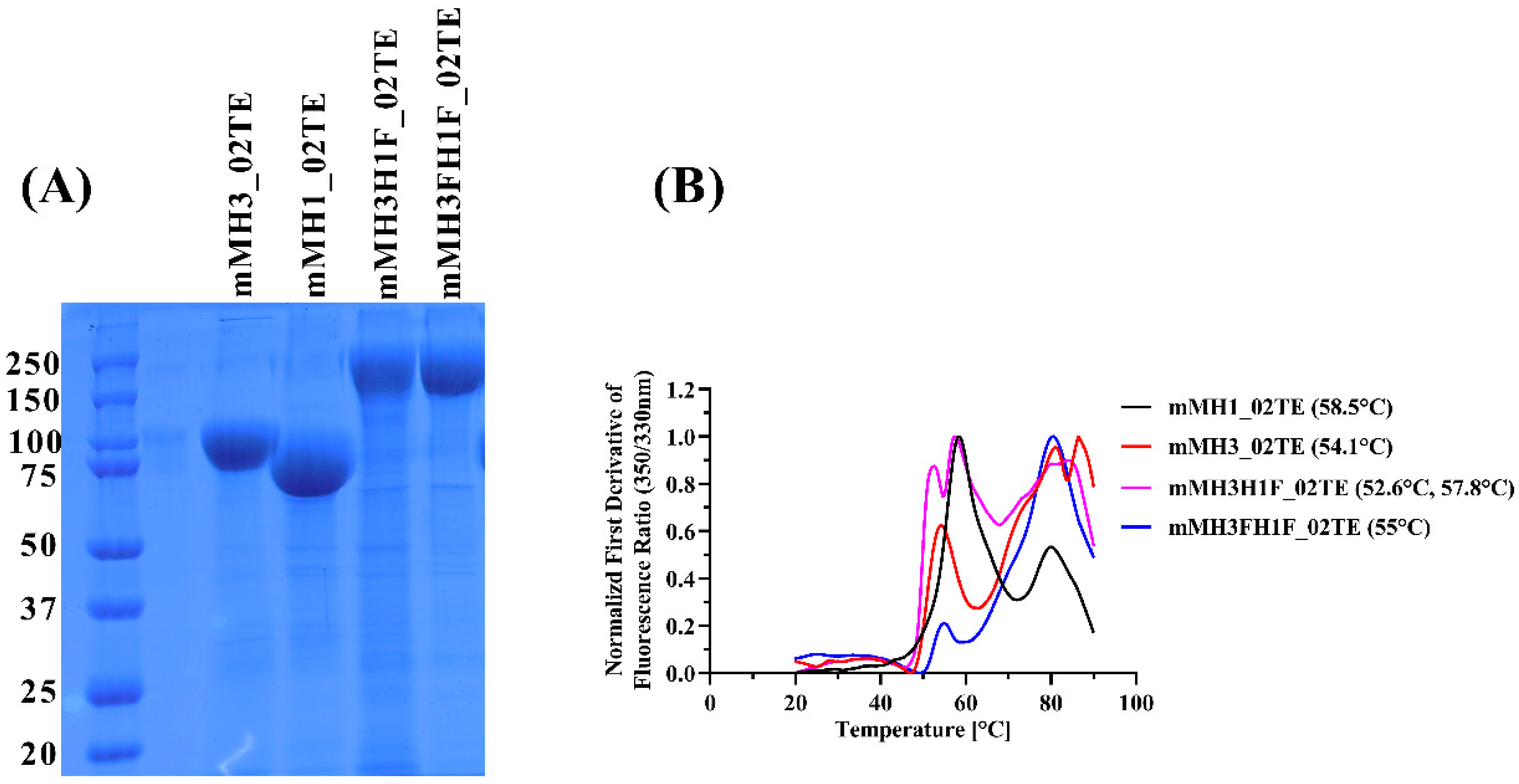 Viruses 13 01710 g002
