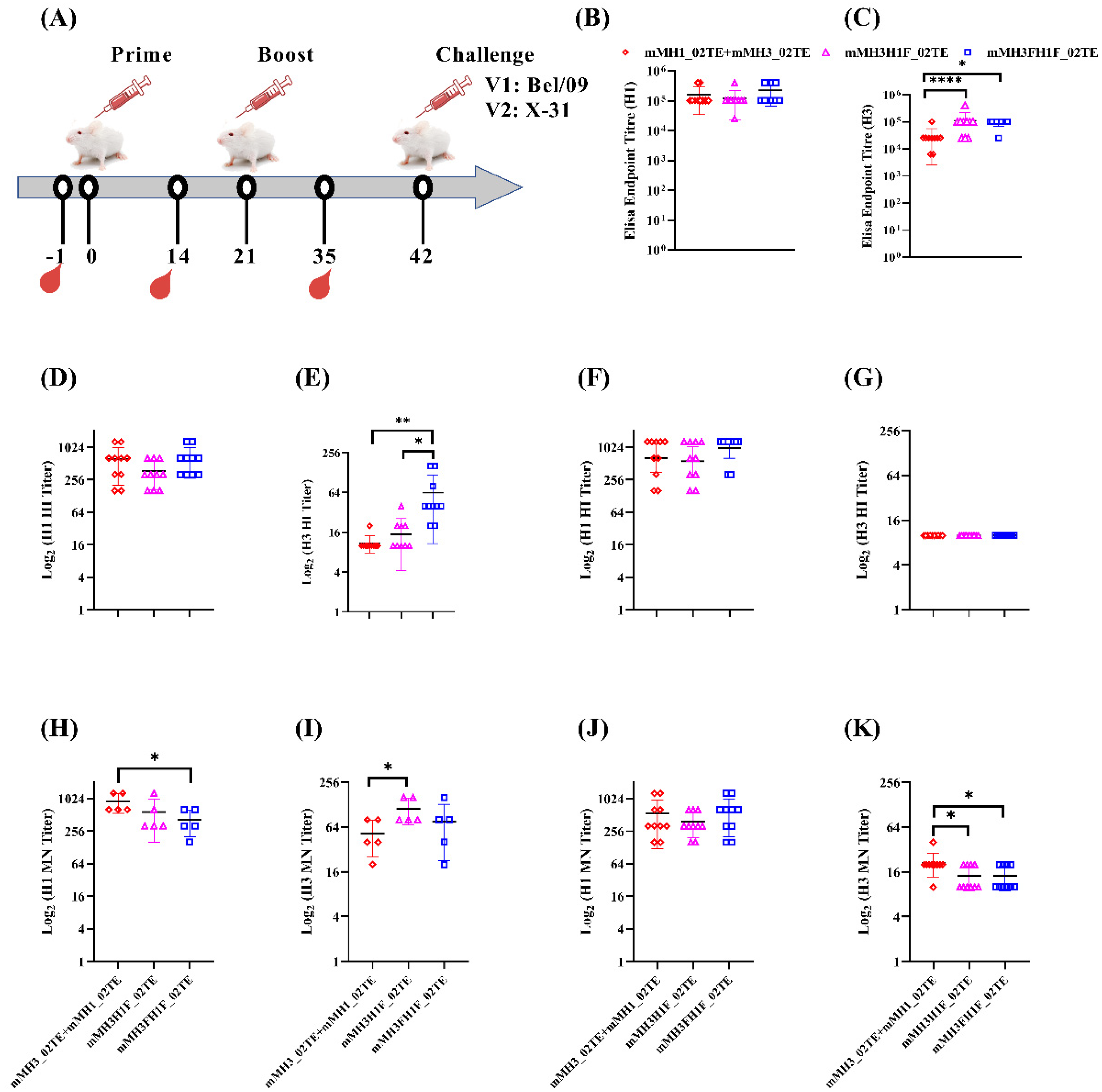 Viruses 13 01710 g006