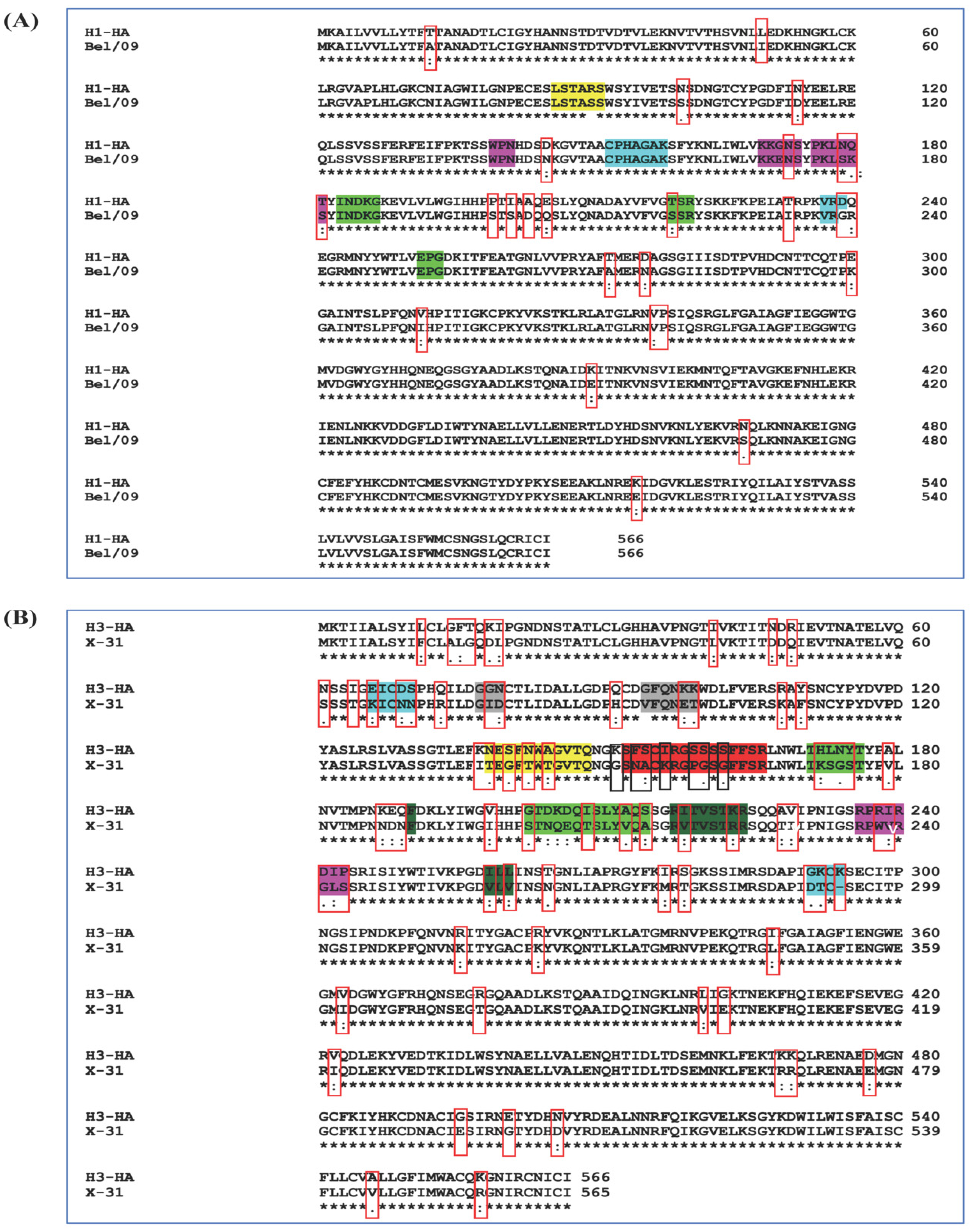 Viruses 13 01710 g008