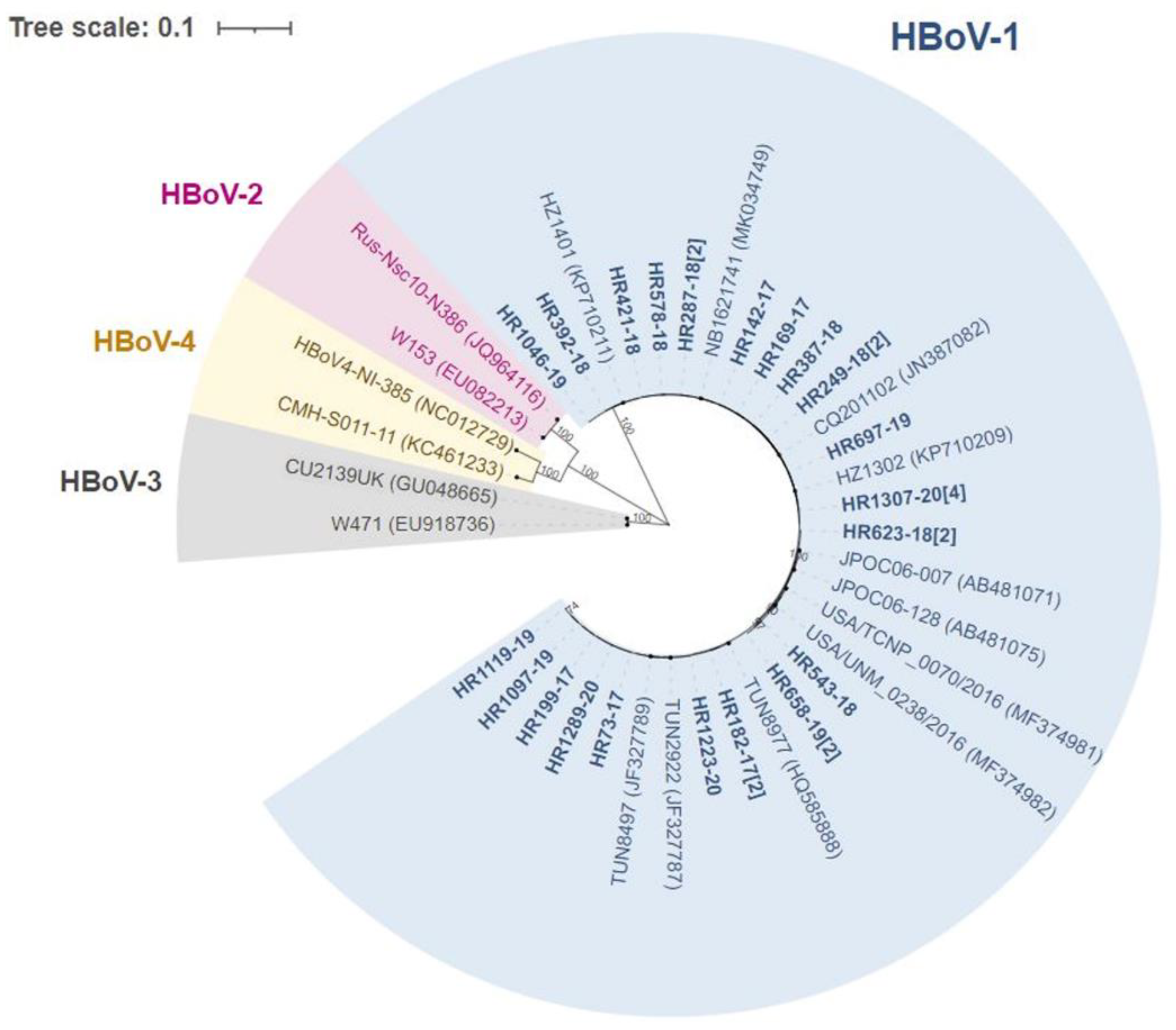 Viruses 13 01728 g002