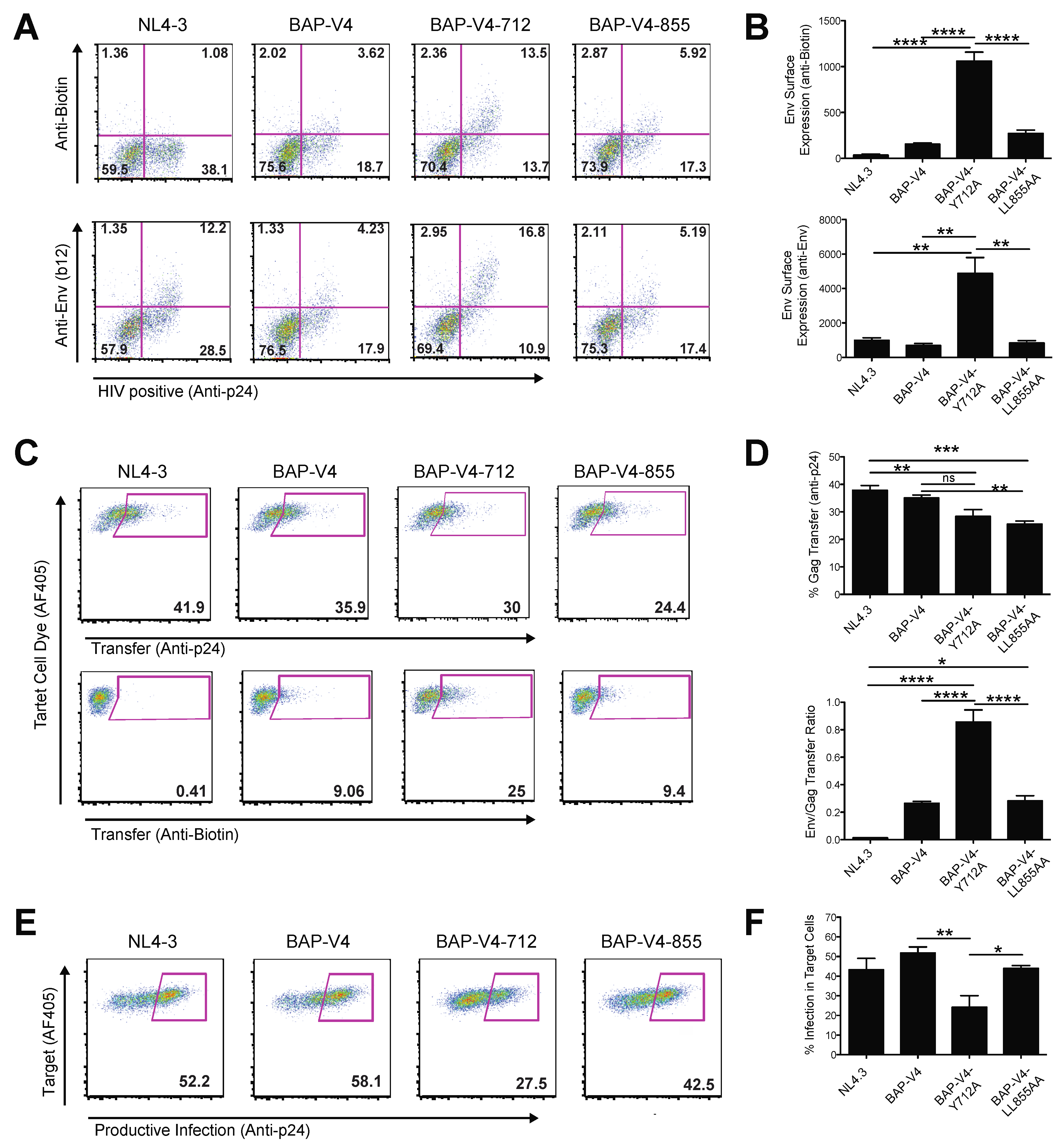 Viruses 13 01729 g004