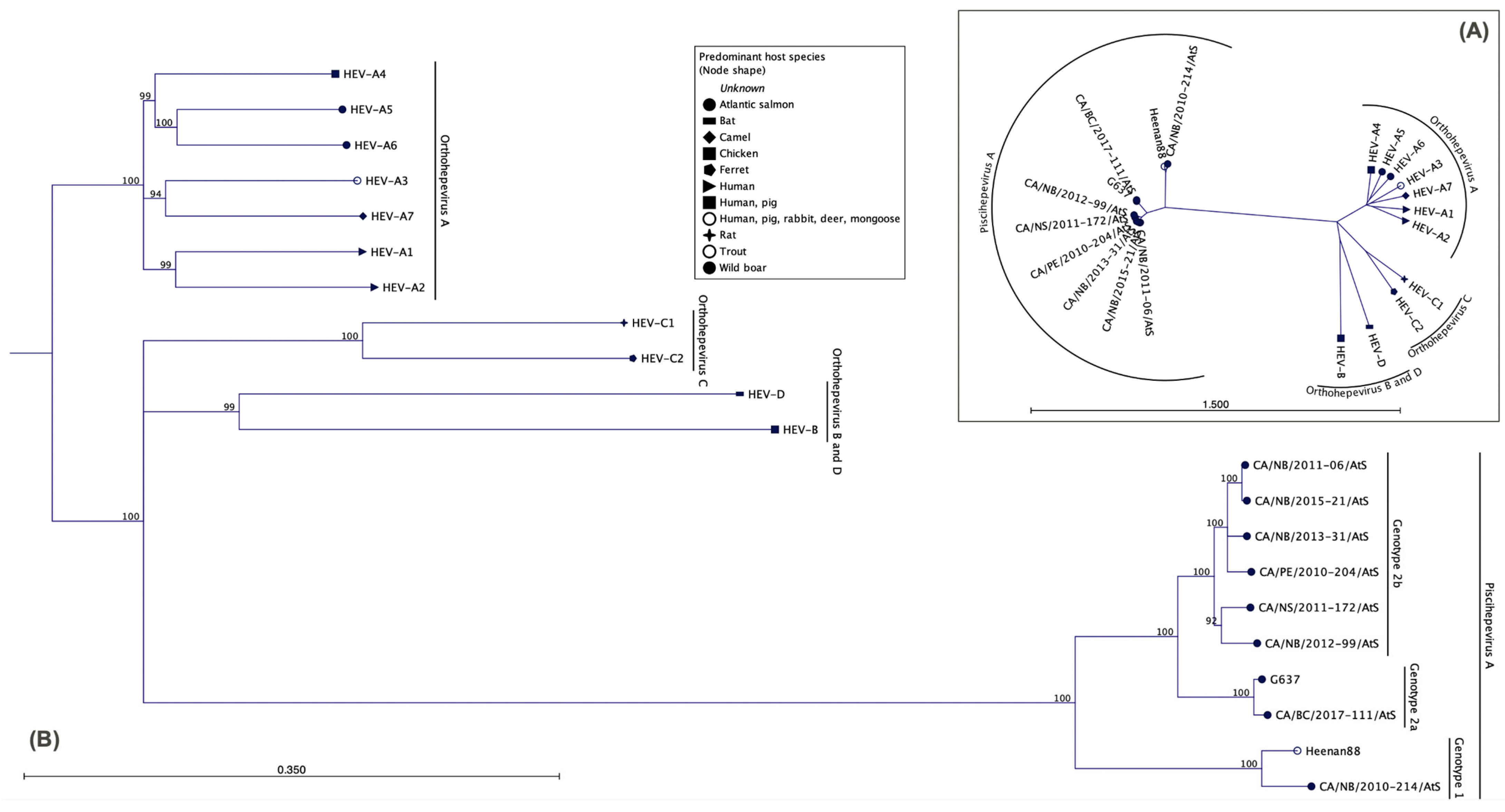 Viruses 13 01730 g002 550