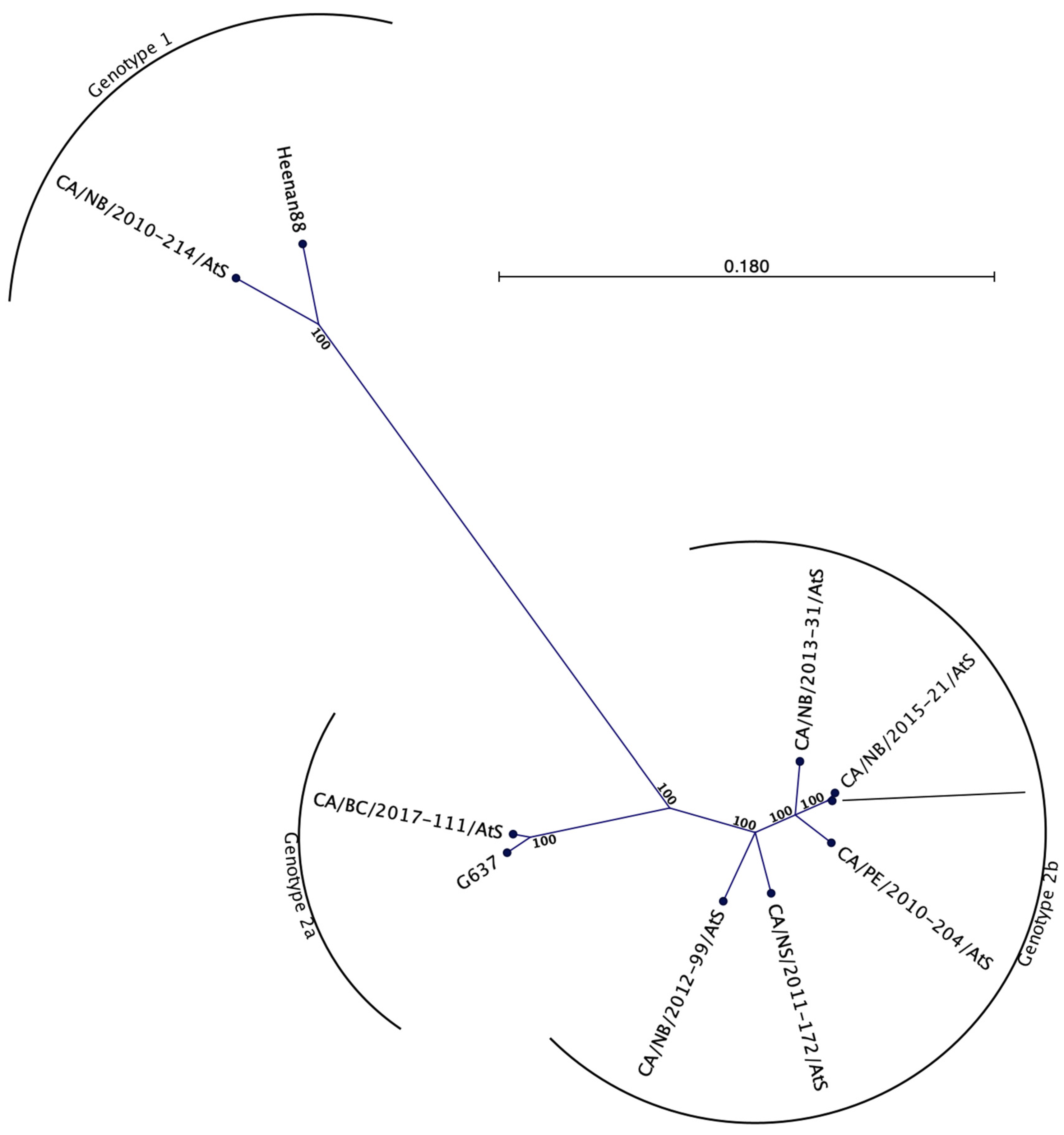 Viruses 13 01730 g003 550